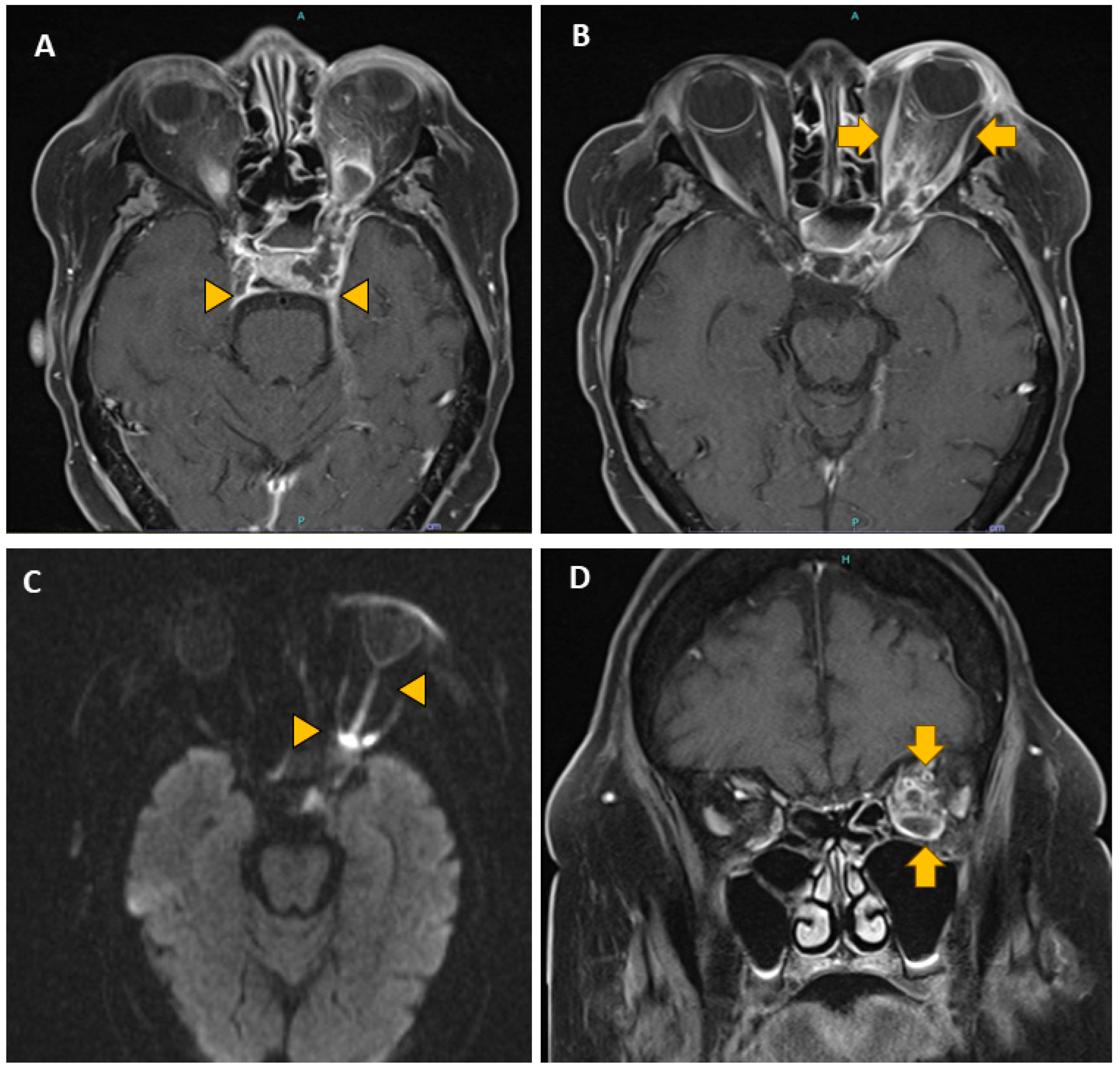 Pathogens 13 00530 g002 Pathogens 13 00530 g002