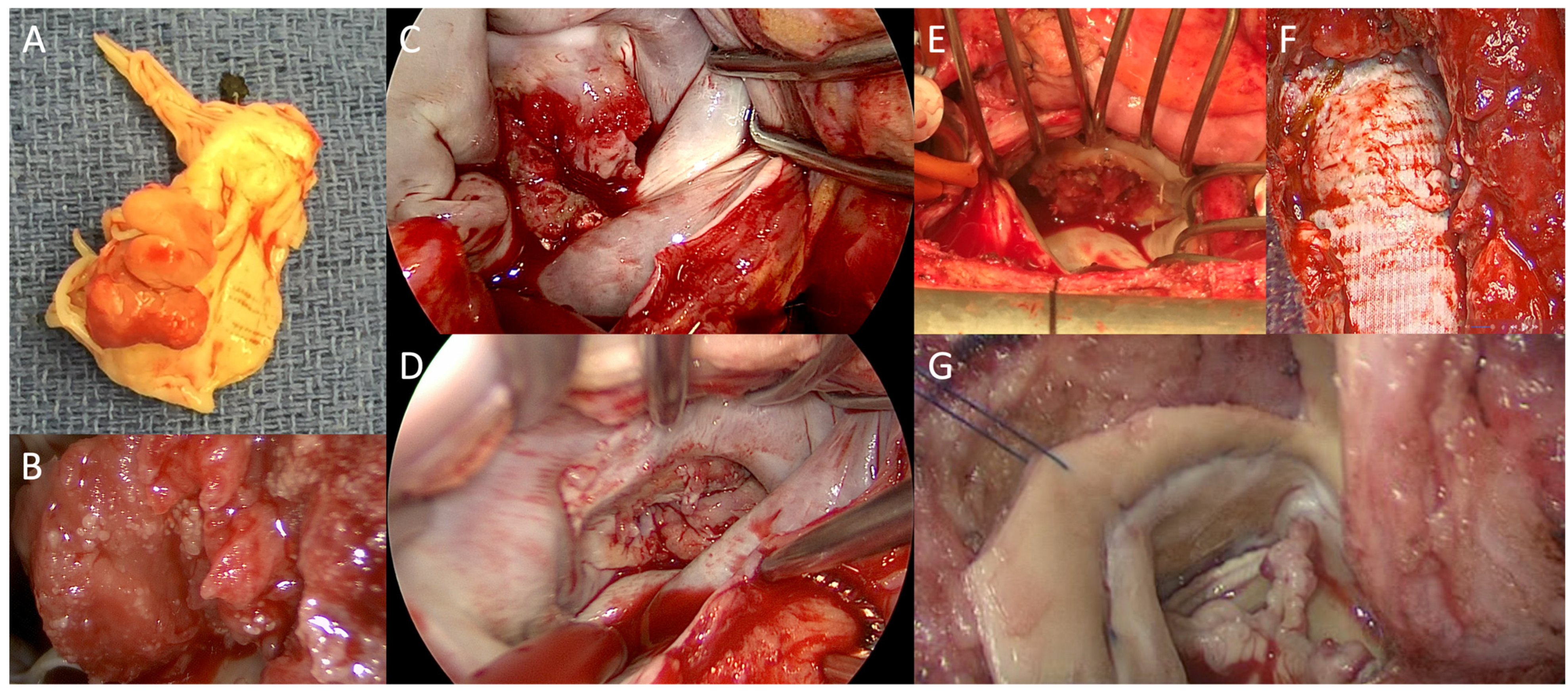 Pathogens 13 00543 g003