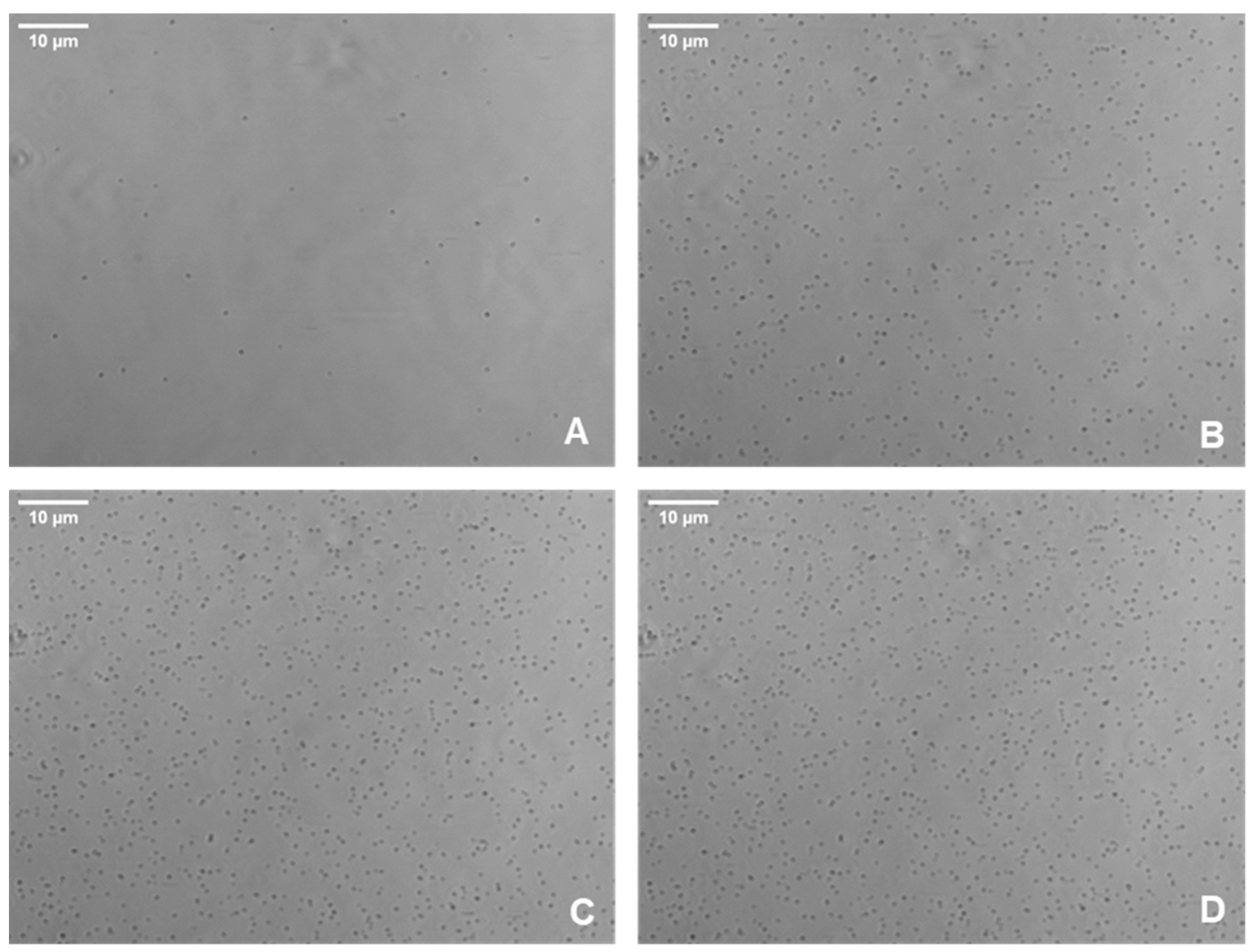 Pathogens 13 00551 g001 Pathogens 13 00551 g001