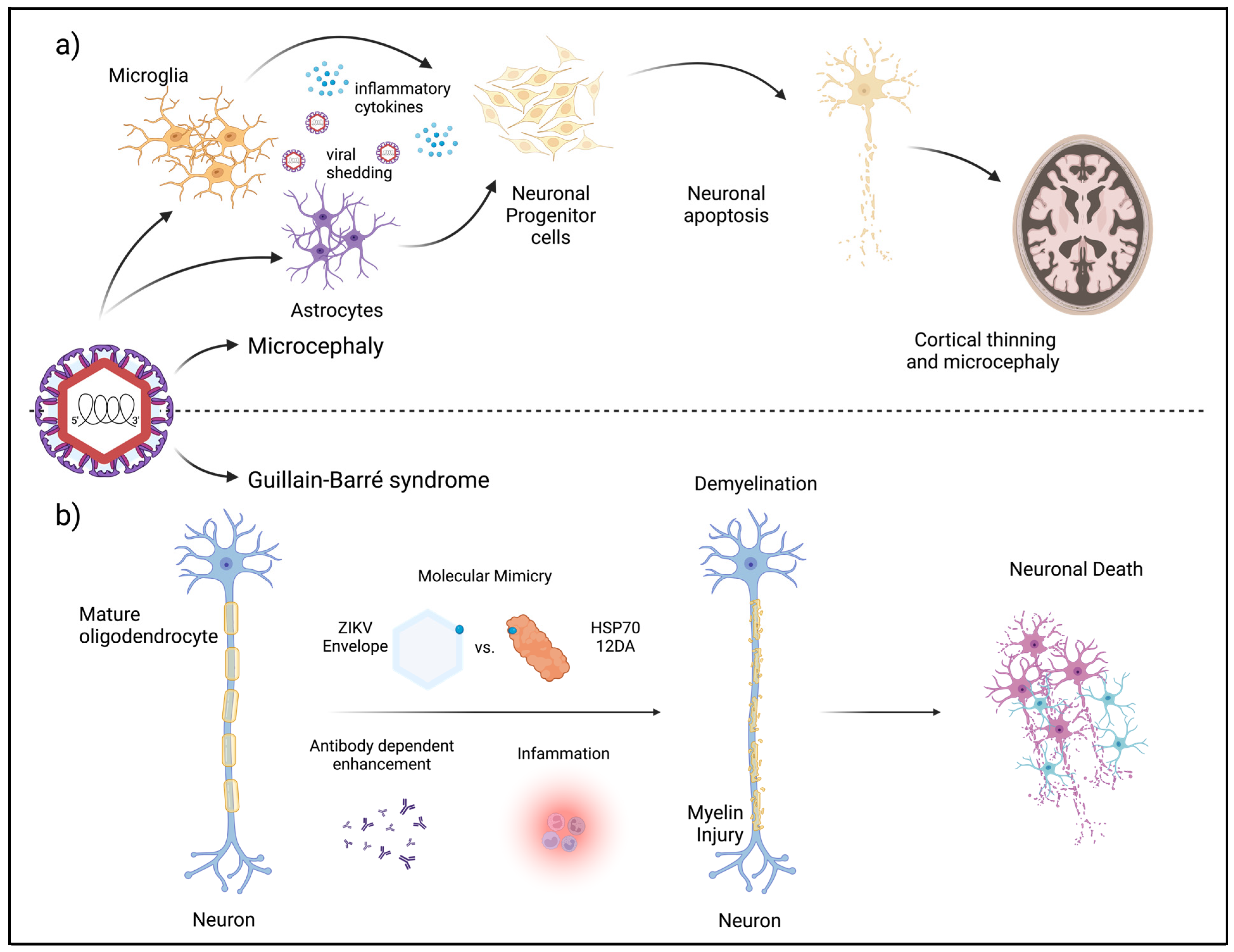 Pathogens 13 00555 g005
