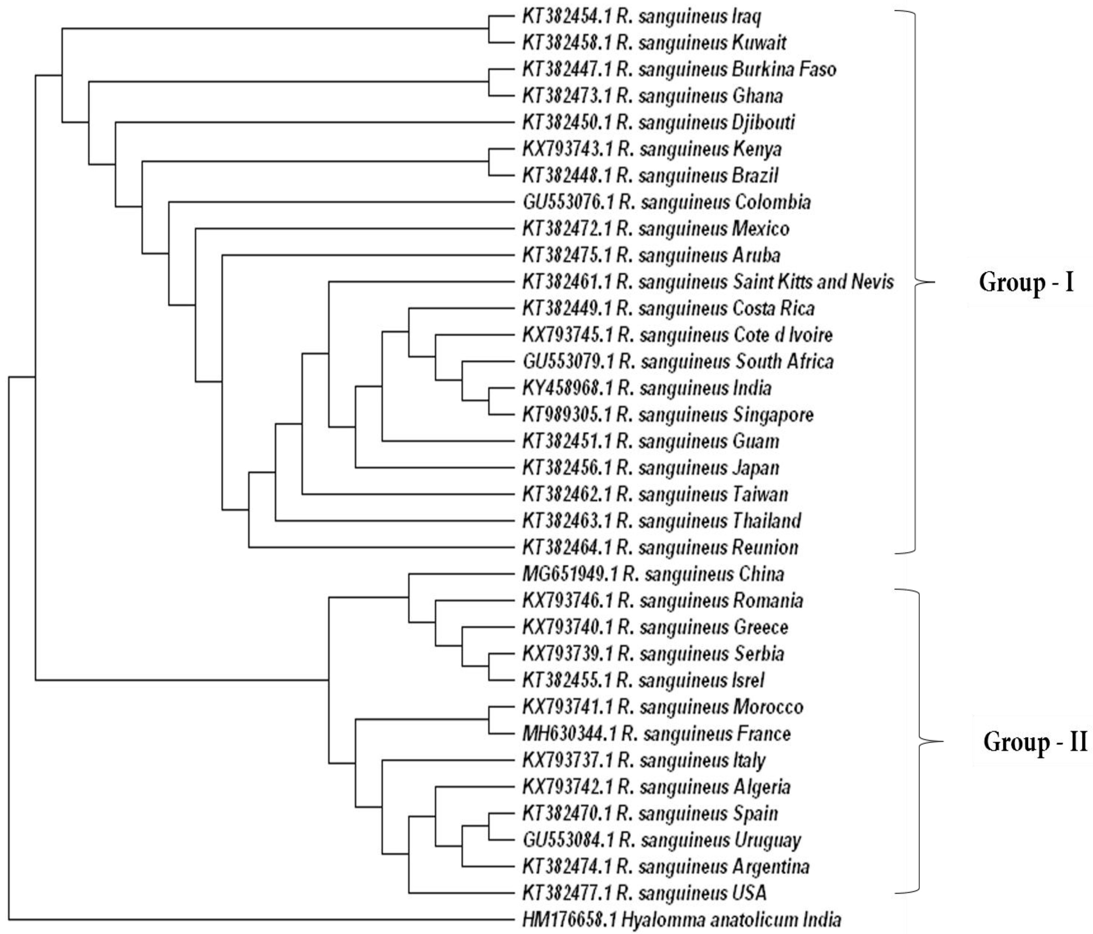Pathogens 13 00556 g008