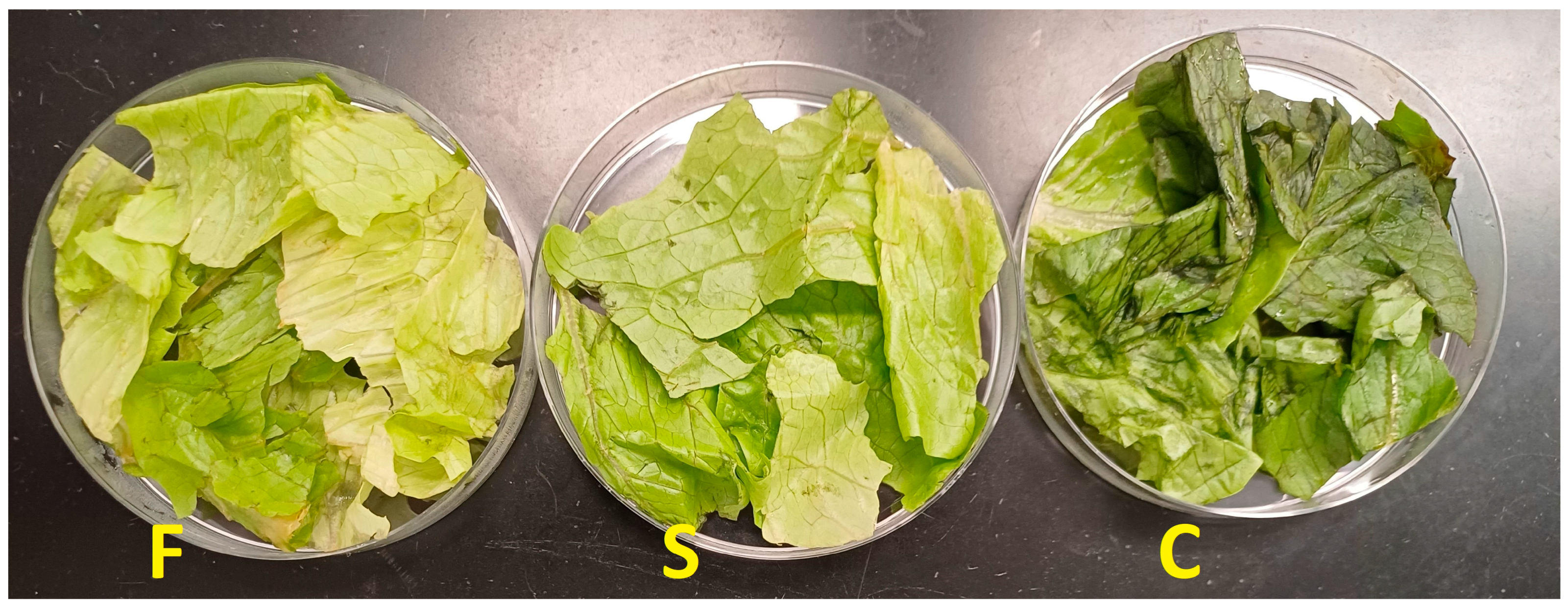 Pathogens 13 00557 g001 Pathogens 13 00557 g001