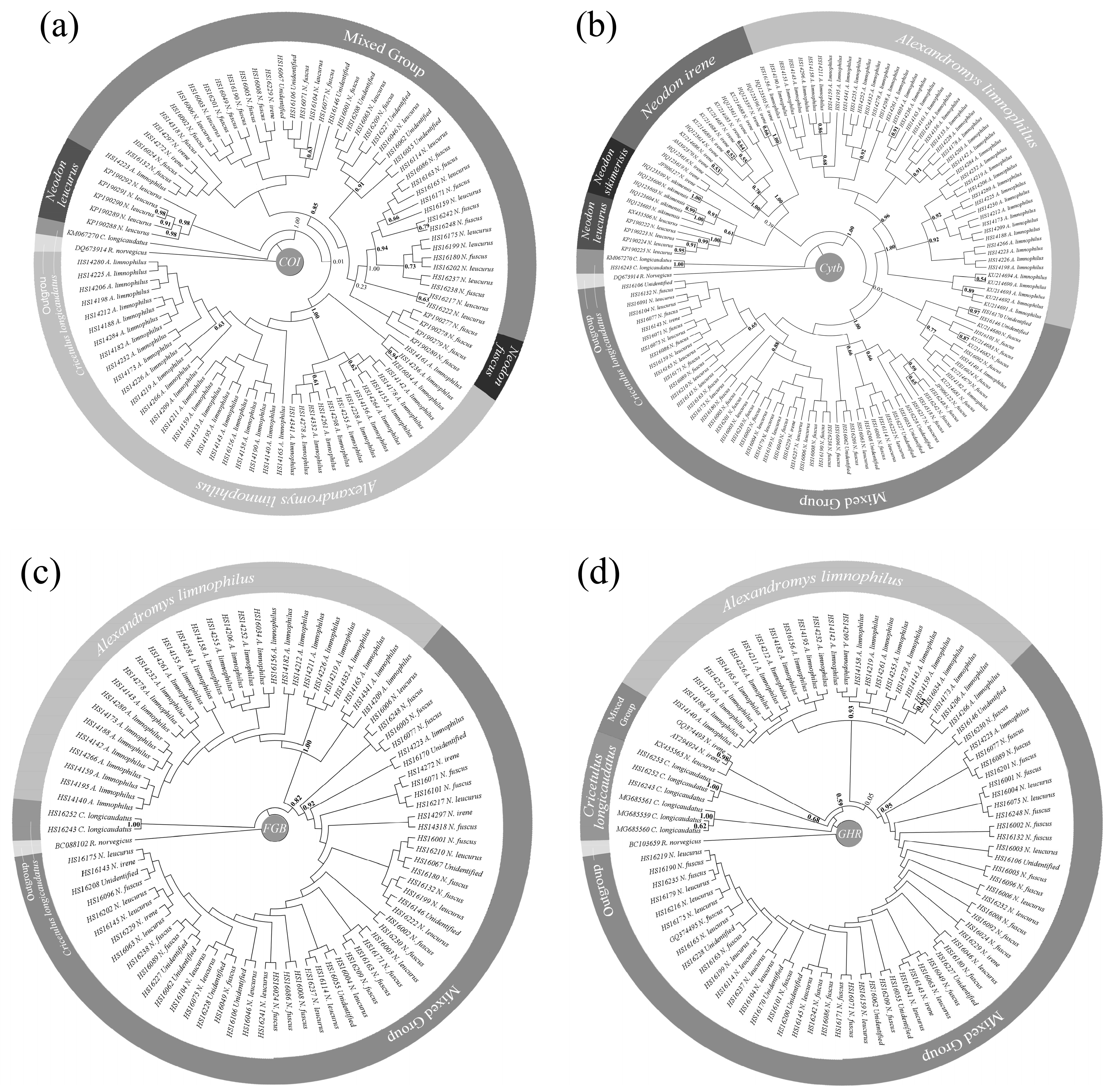 Exosome circATP8A1 induces macrophage M2 polarization by