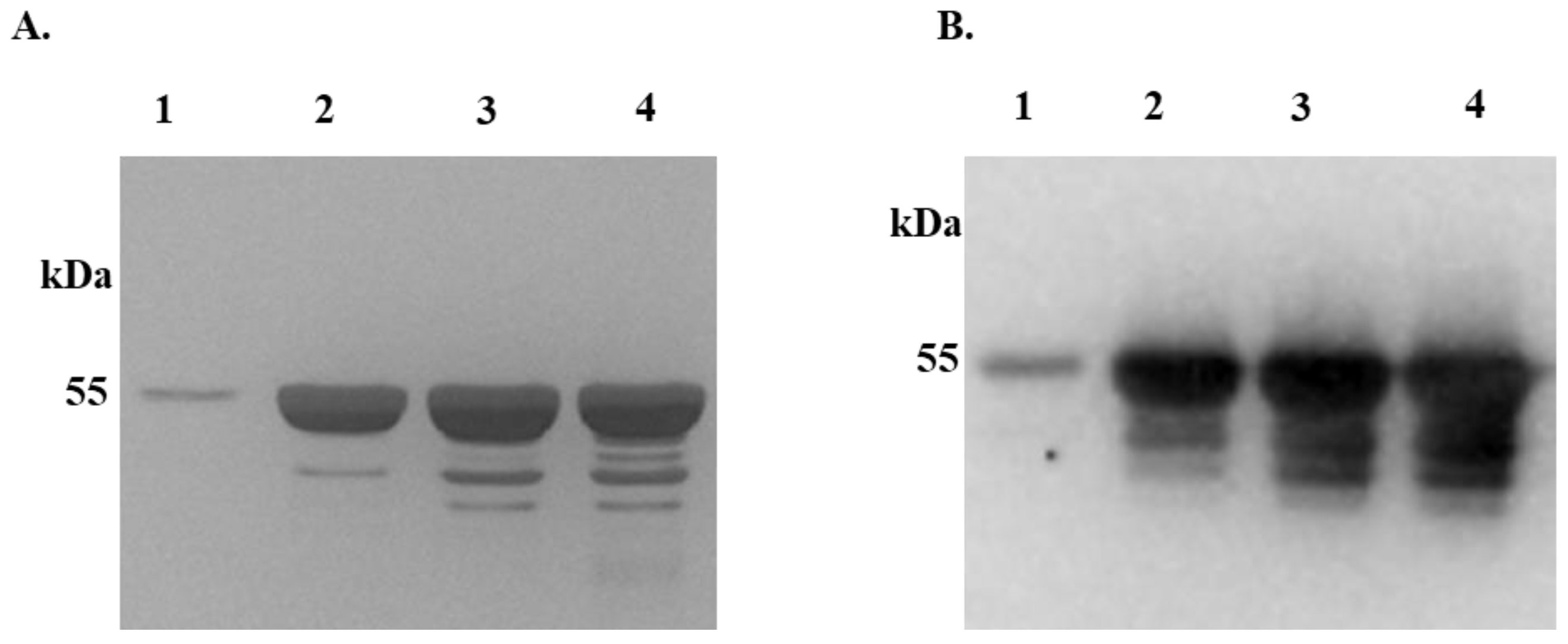Pathogens 13 00560 g001