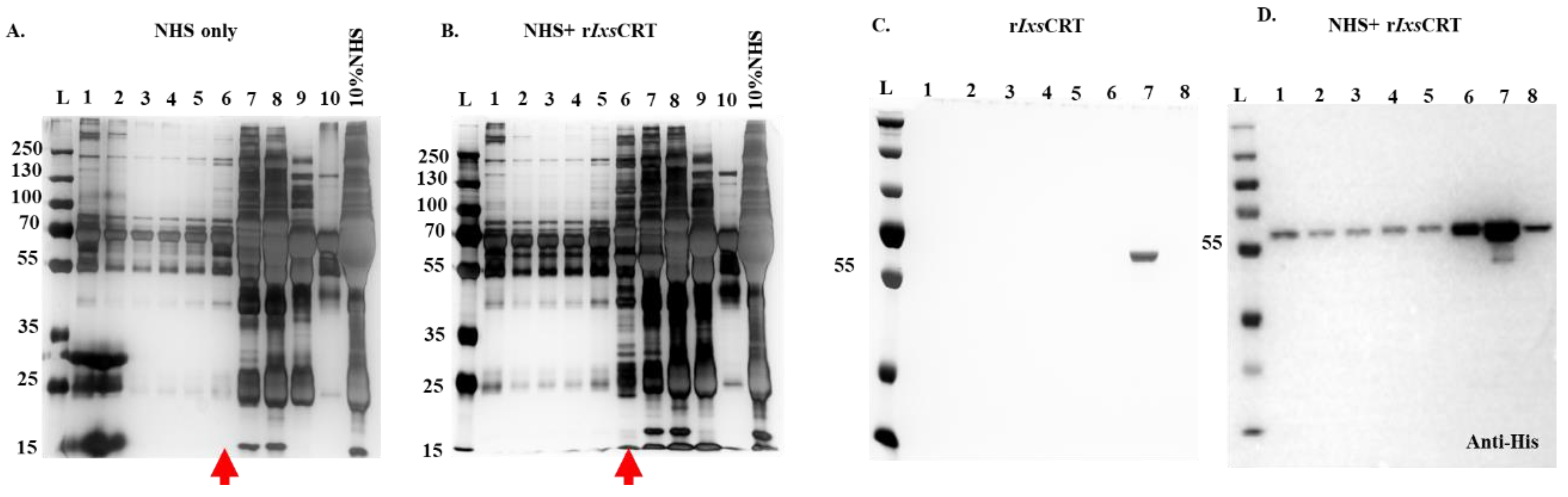 Pathogens 13 00560 g002