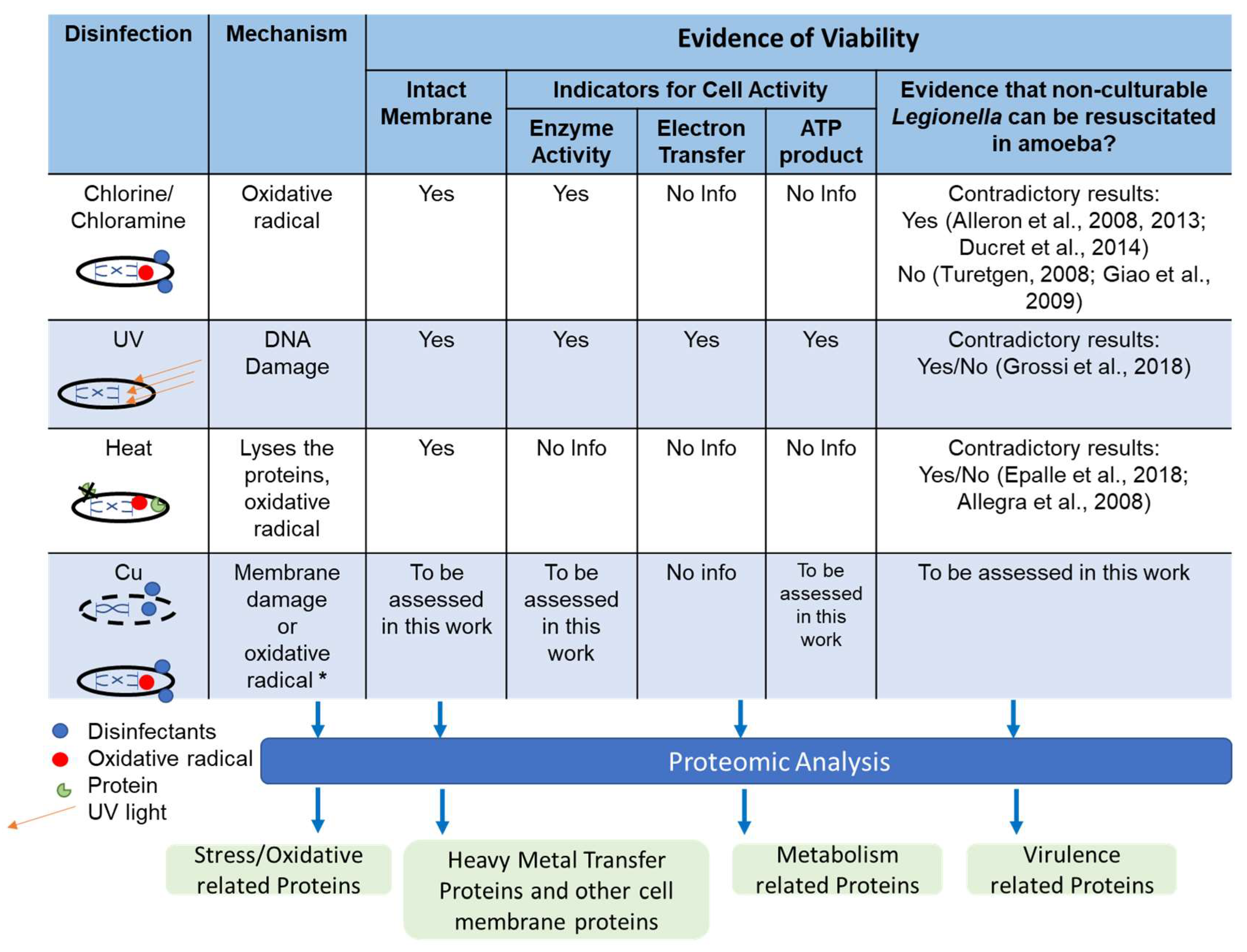 Pathogens 13 00563 g001
