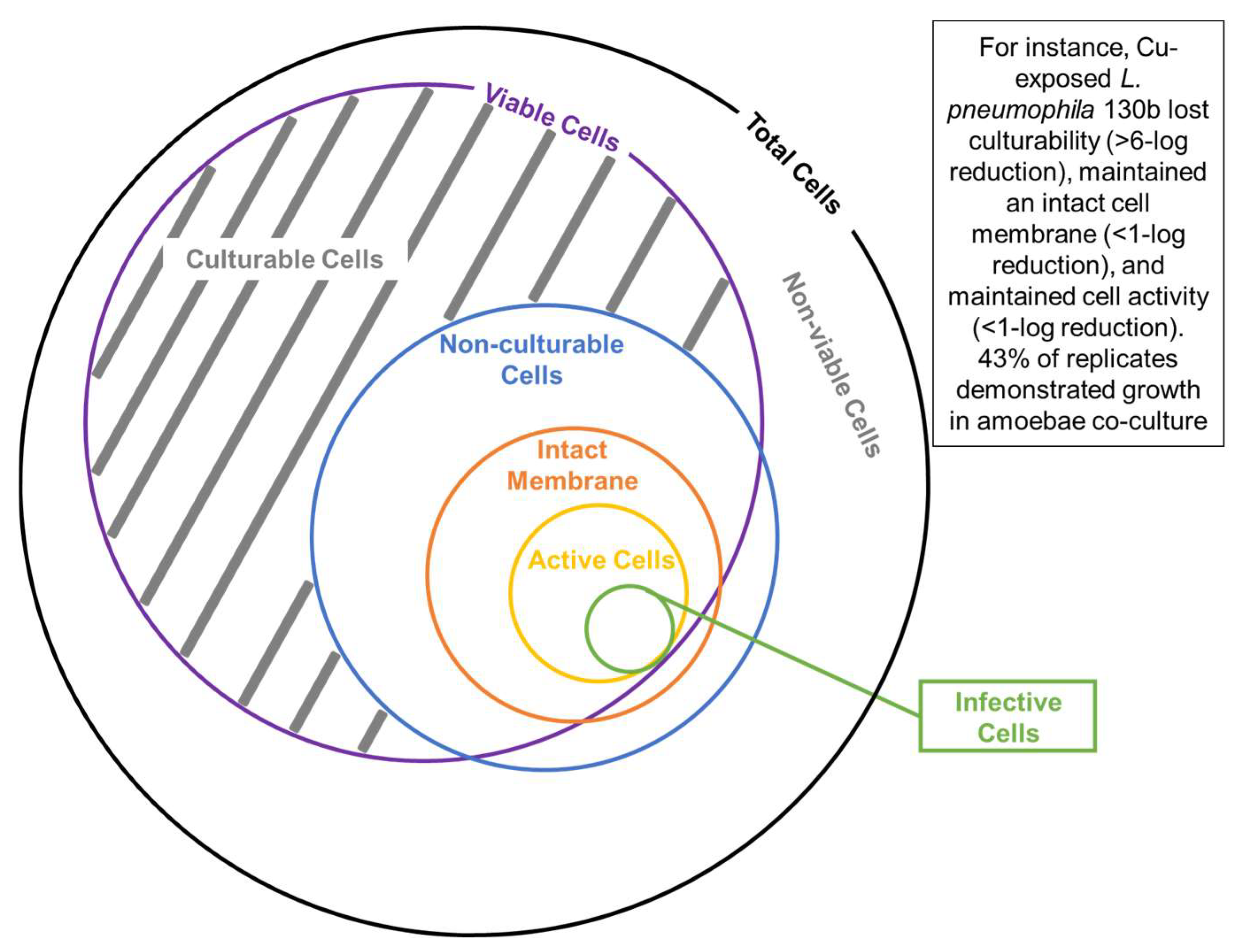 Pathogens 13 00563 g006
