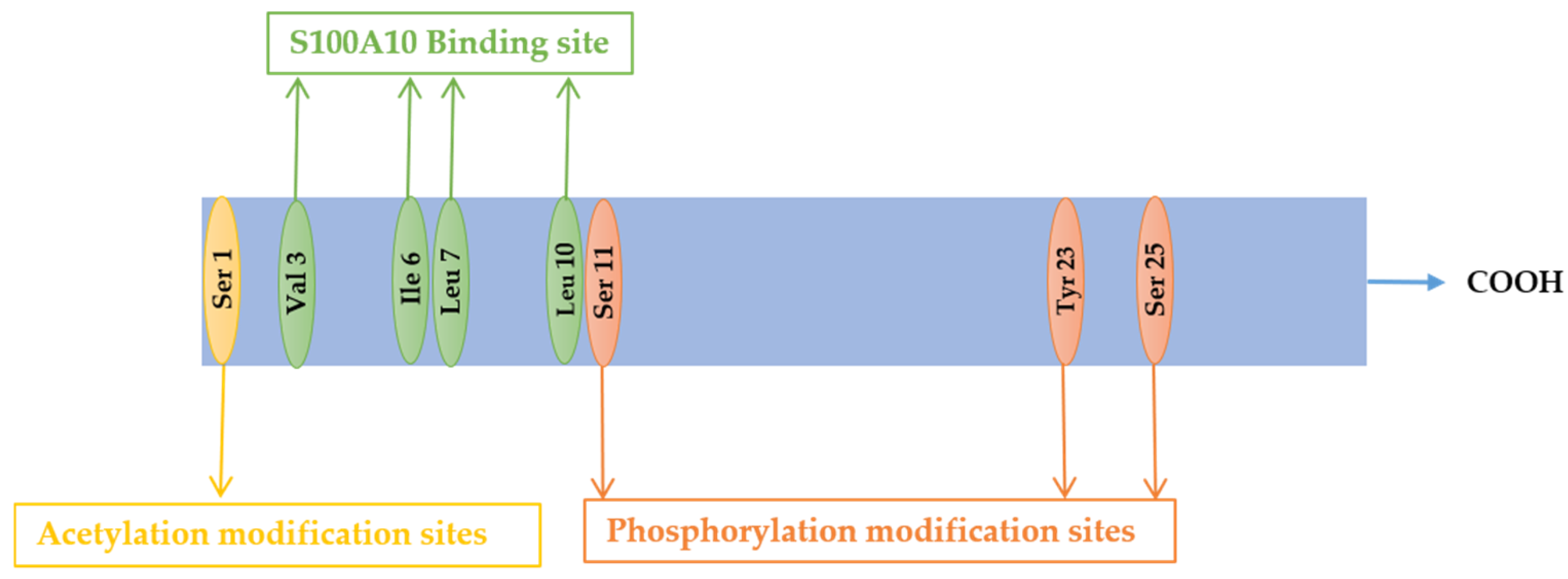 Pathogens 13 00564 g001