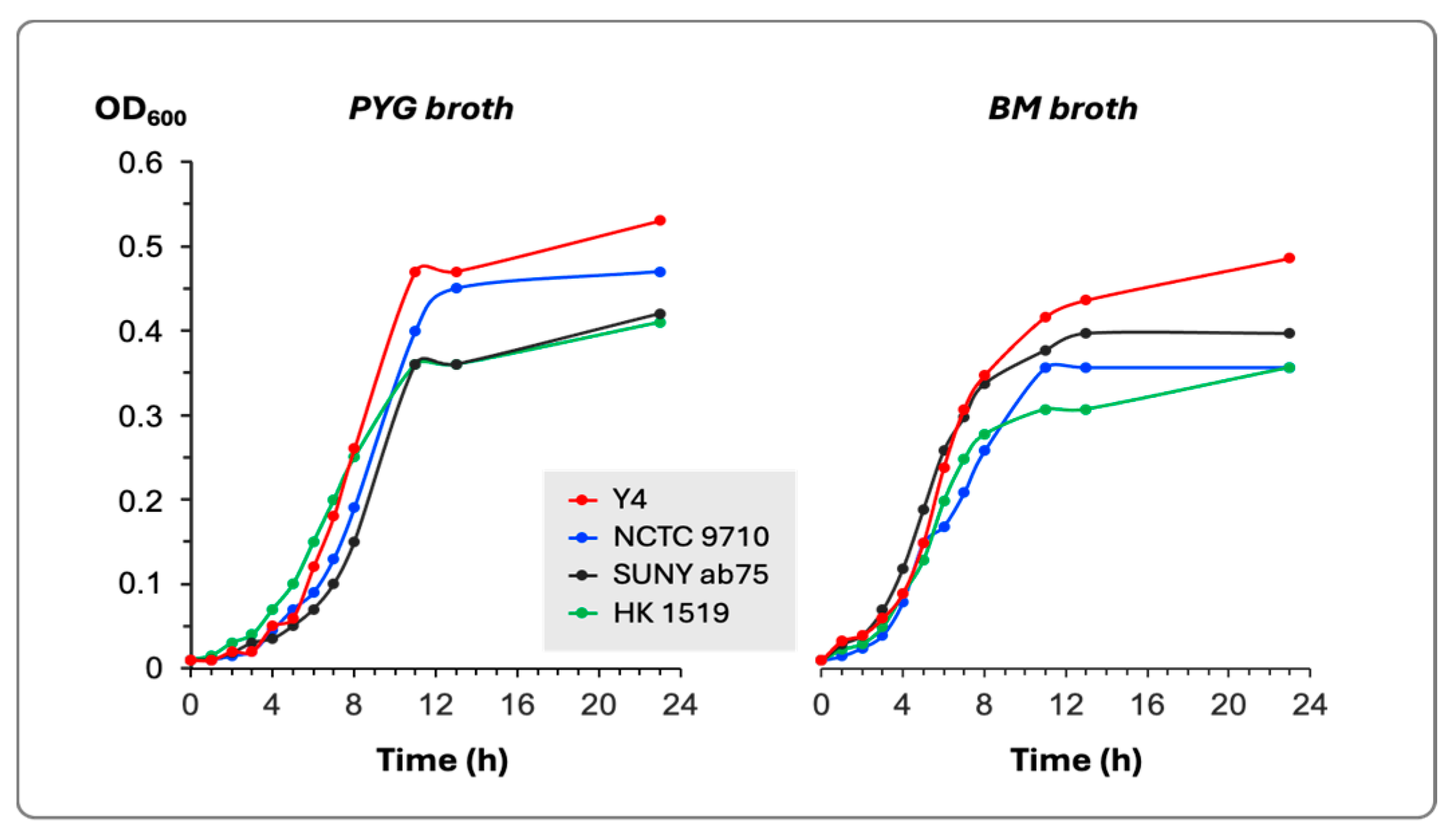Pathogens 13 00569 g001