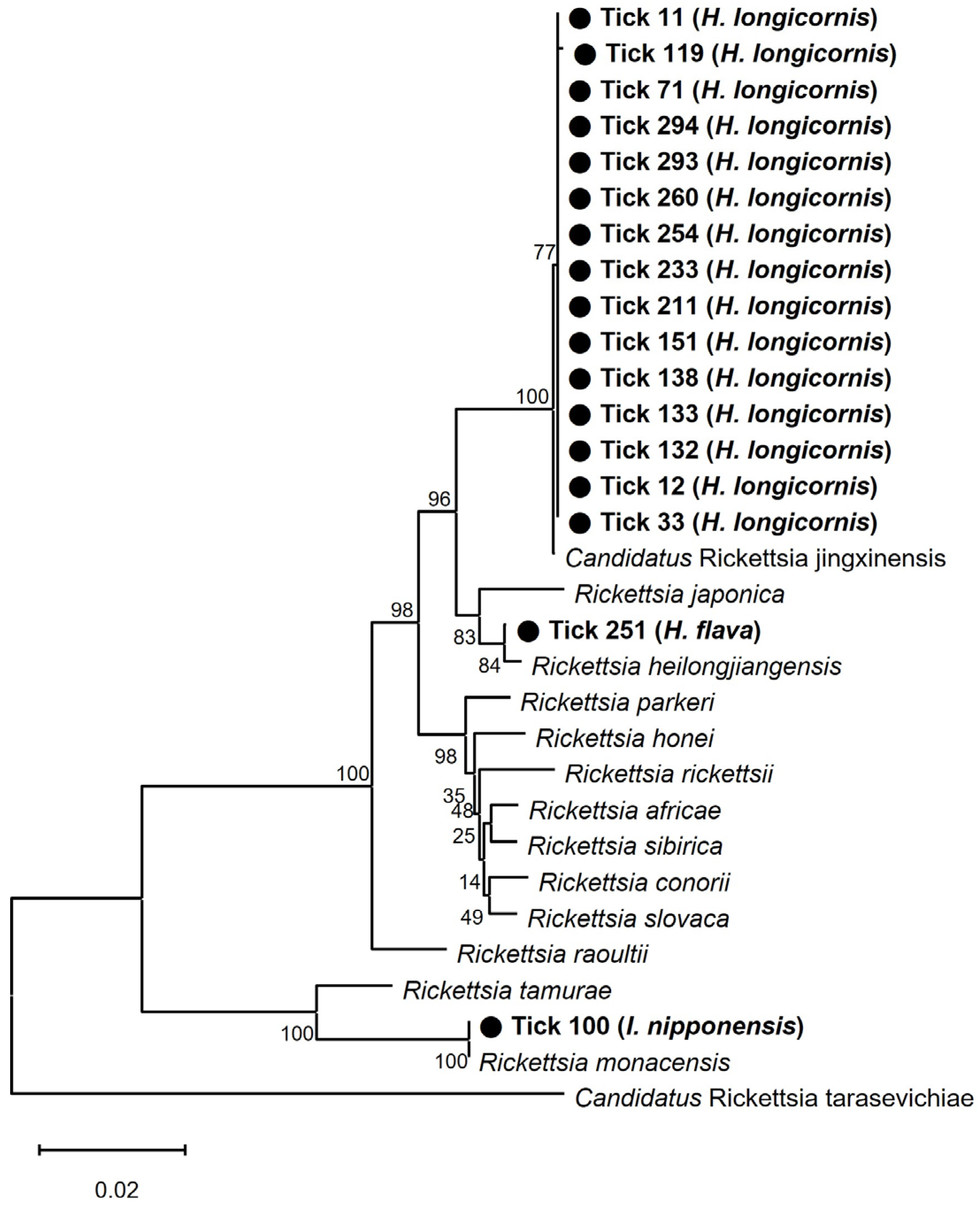 Pathogens 13 00575 g003 Pathogens 13 00575 g003