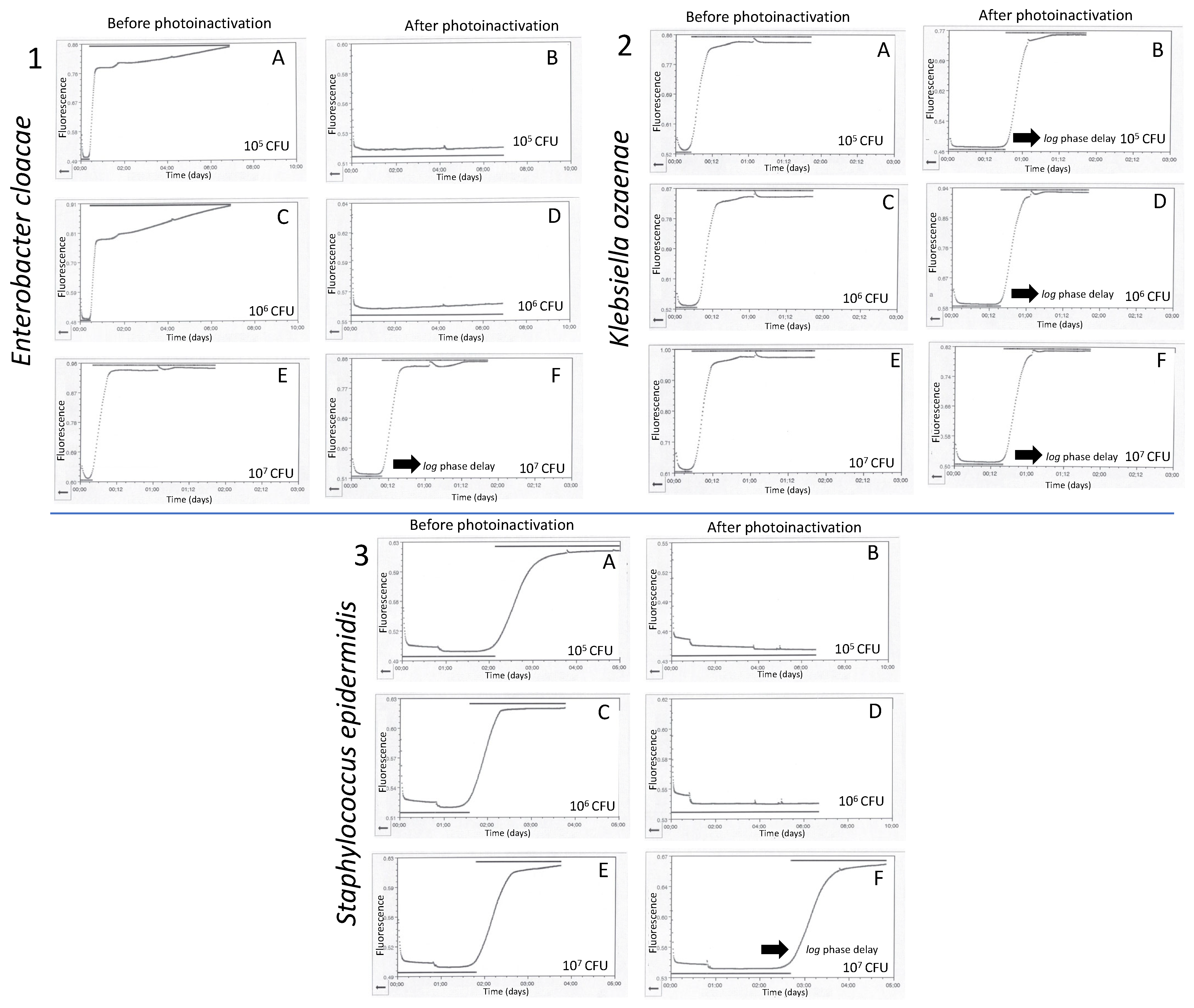Pathogens 13 00577 g003