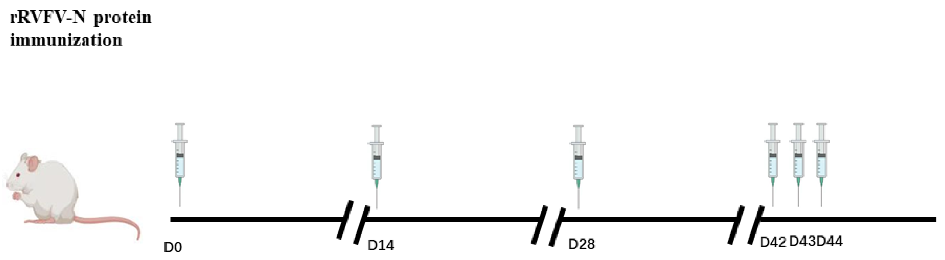 Pathogens 13 00582 g001 Pathogens 13 00582 g001