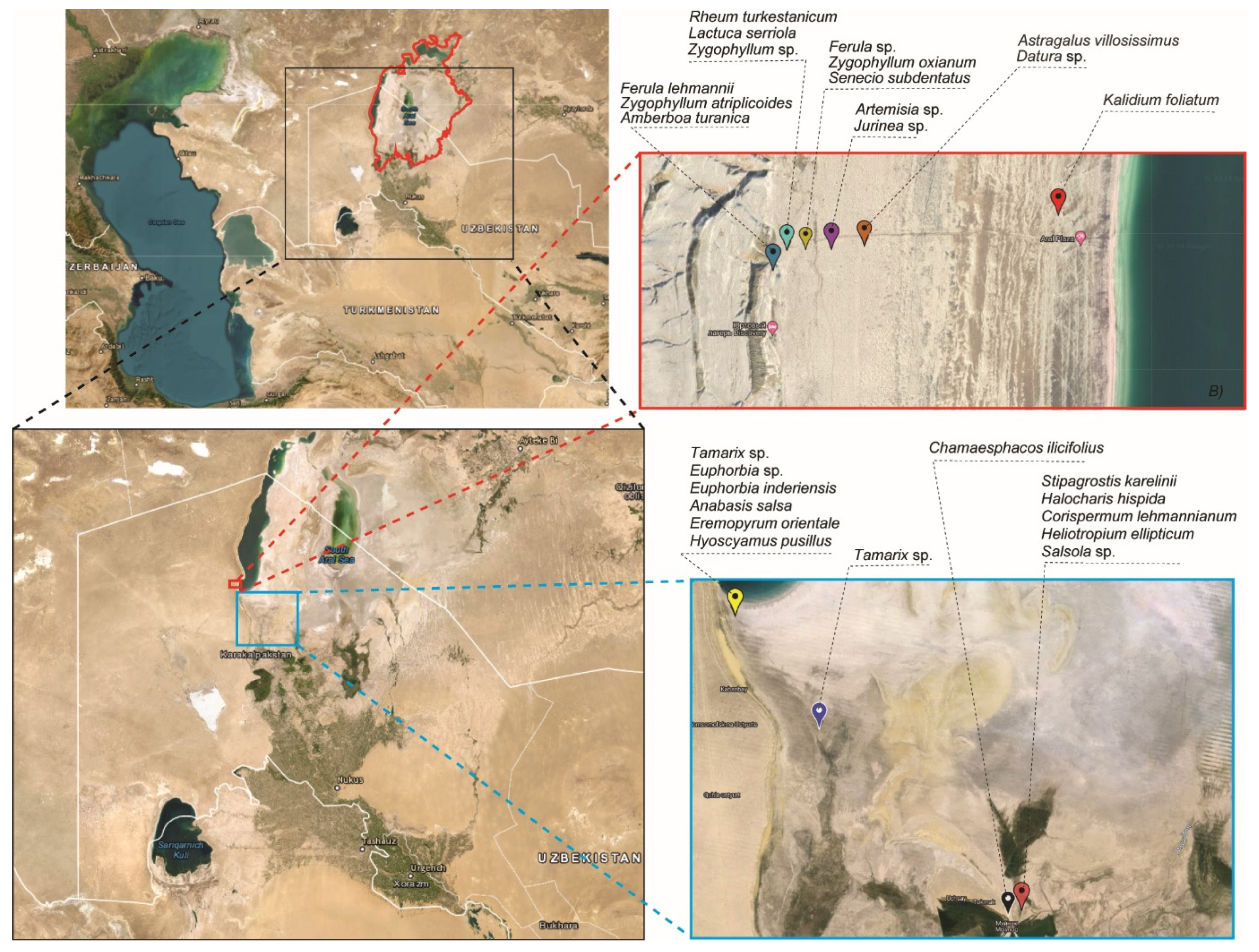 Pathogens 13 00585 g002 Pathogens 13 00585 g002