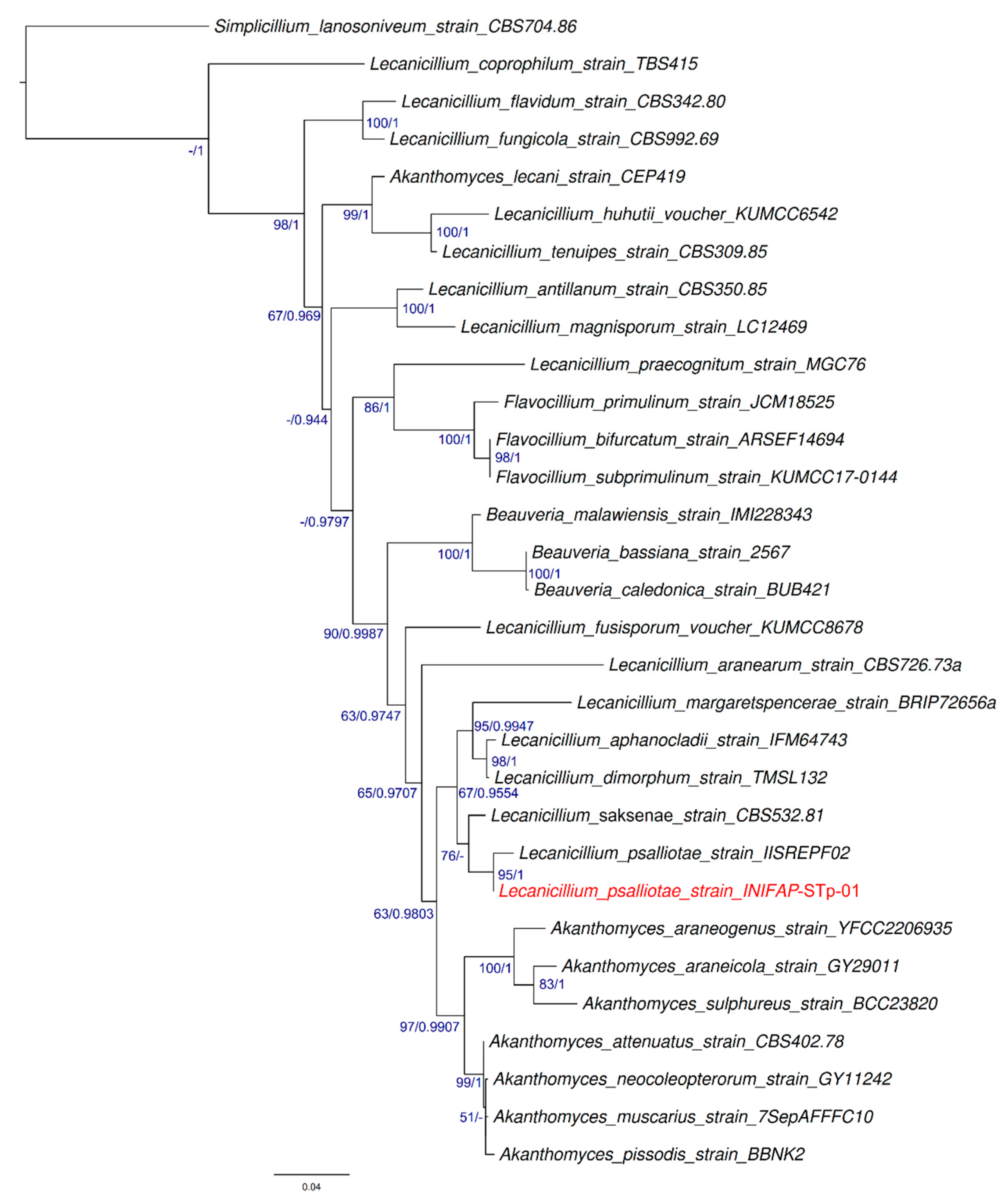 Pathogens 13 00588 g003 Pathogens 13 00588 g003
