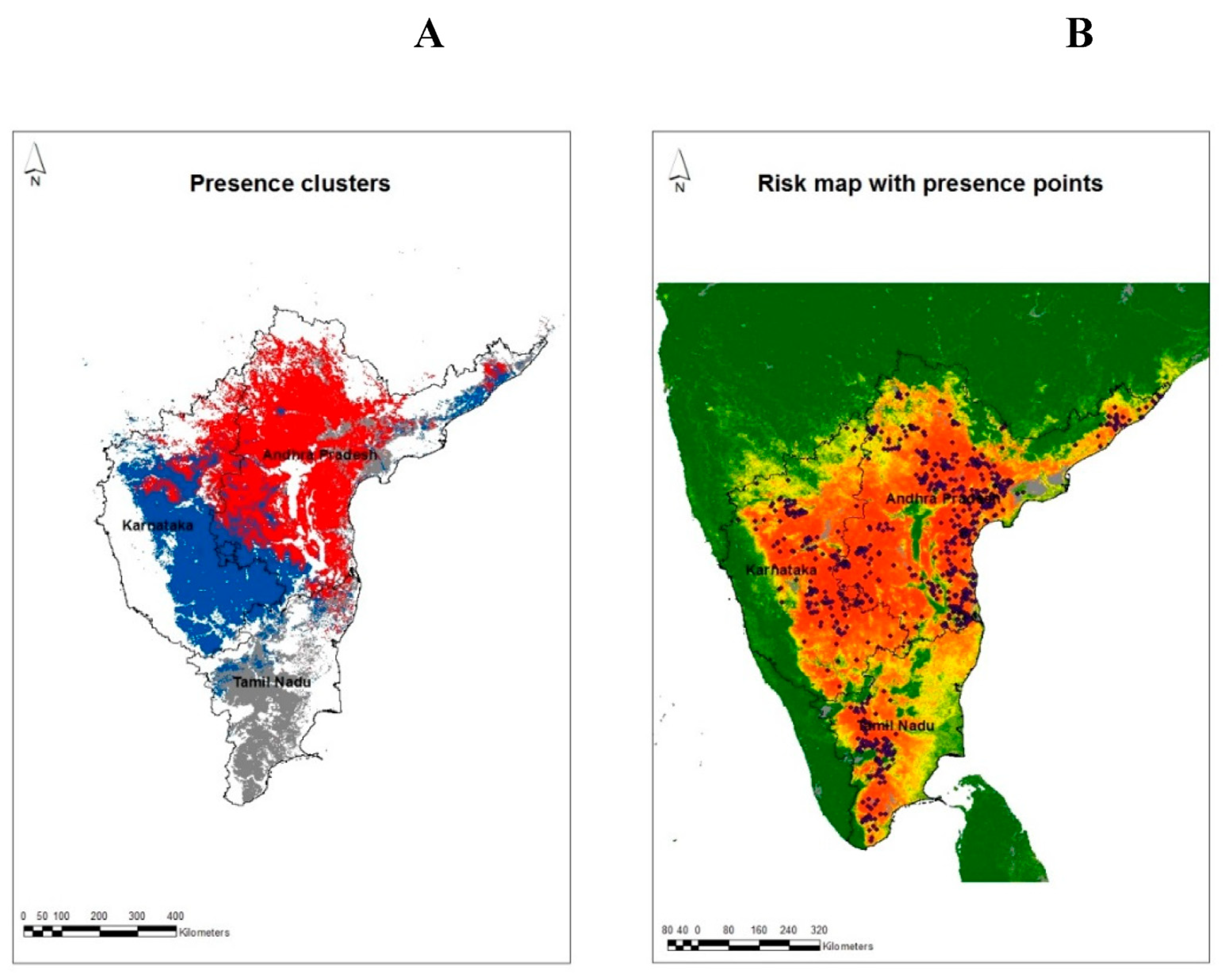 Pathogens 13 00590 g004