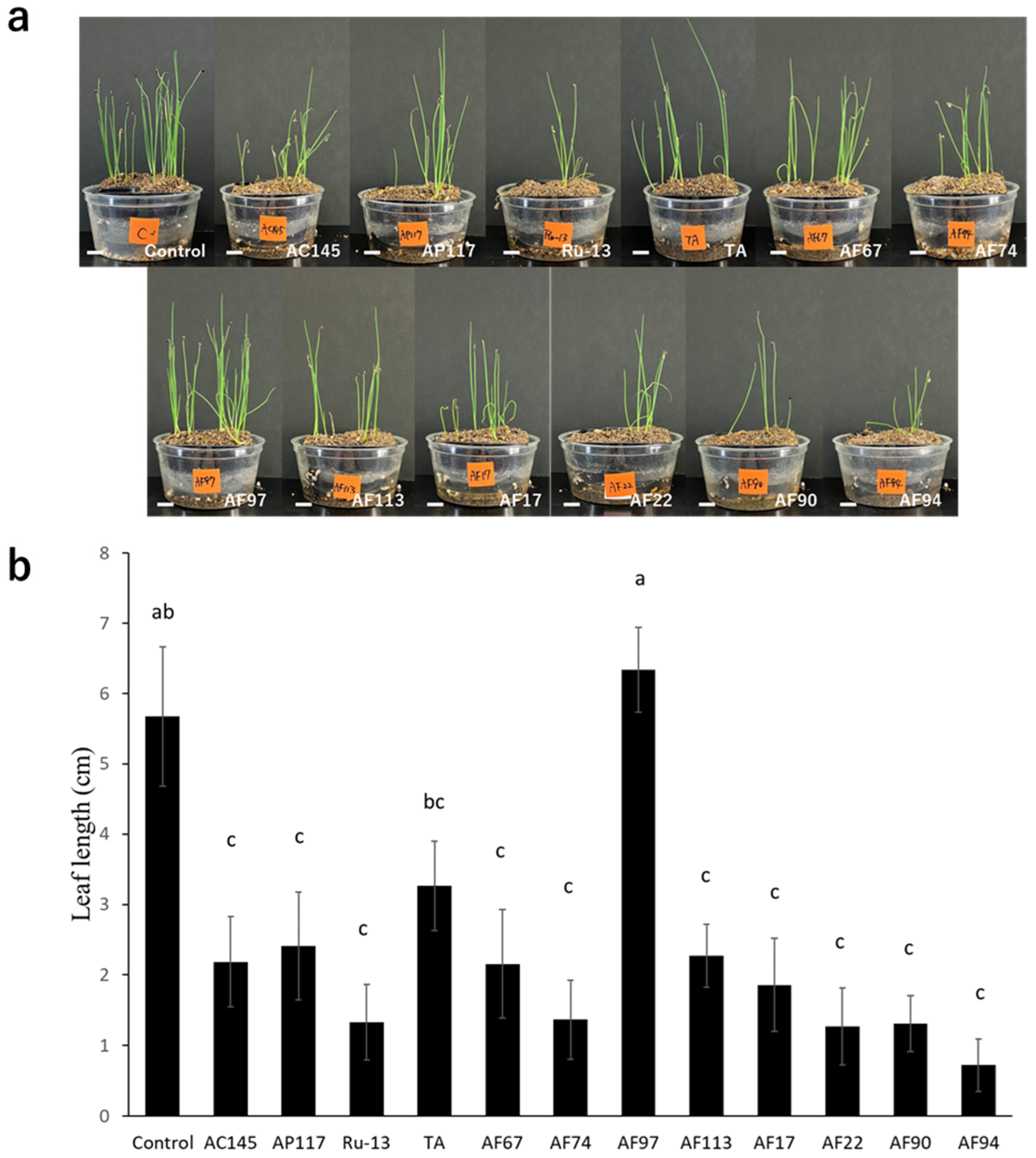 Pathogens 13 00591 g003