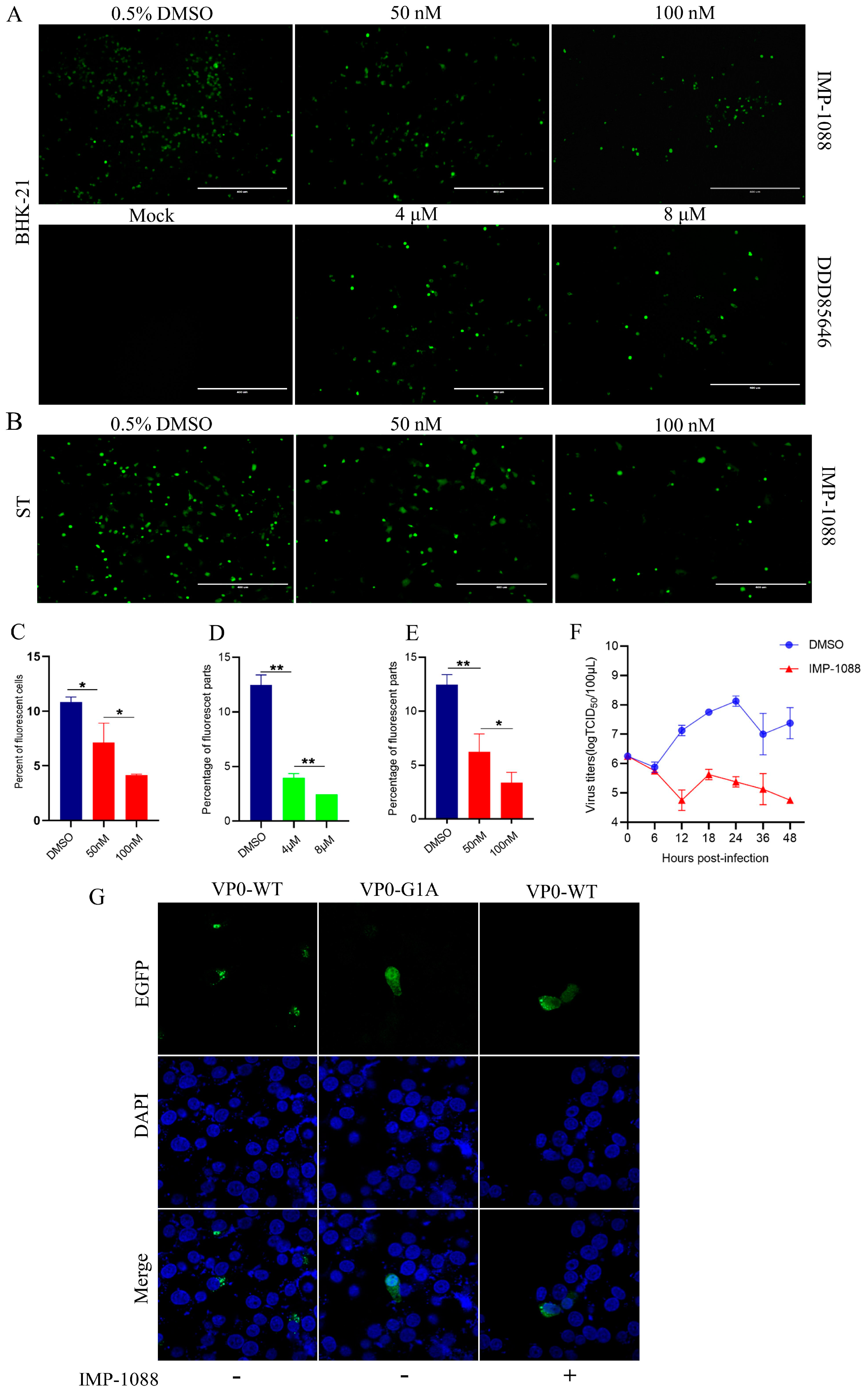 Pathogens 13 00601 g002