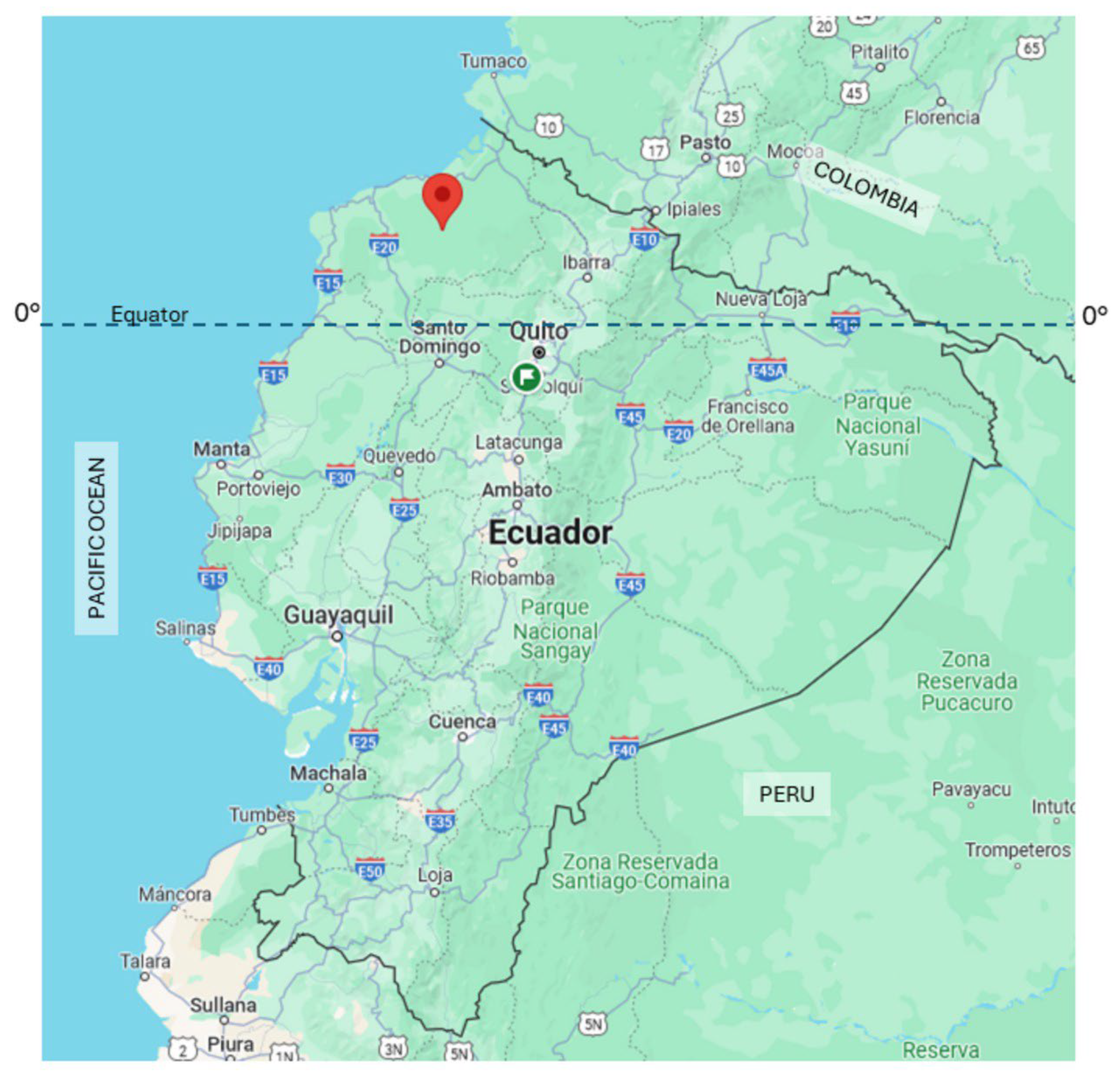 Pathogens 13 00609 g001 Pathogens 13 00609 g001