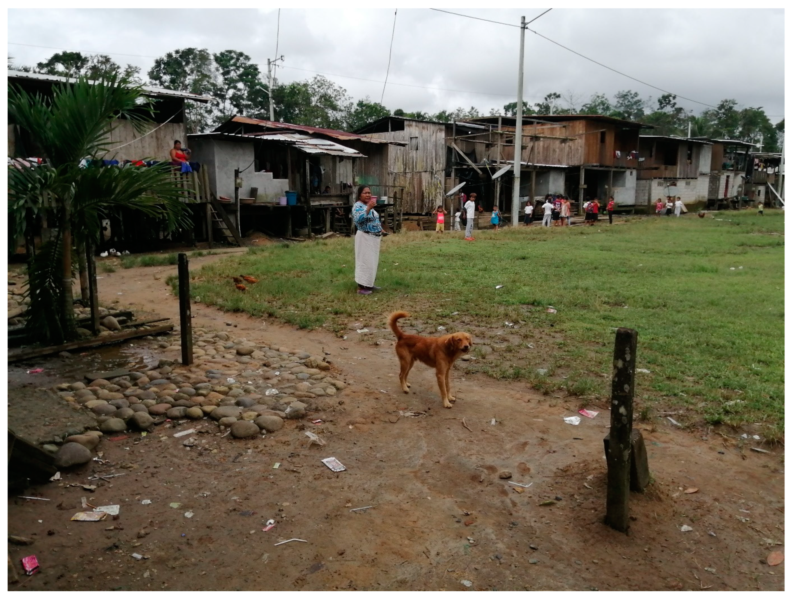 Pathogens 13 00609 g002 Pathogens 13 00609 g002