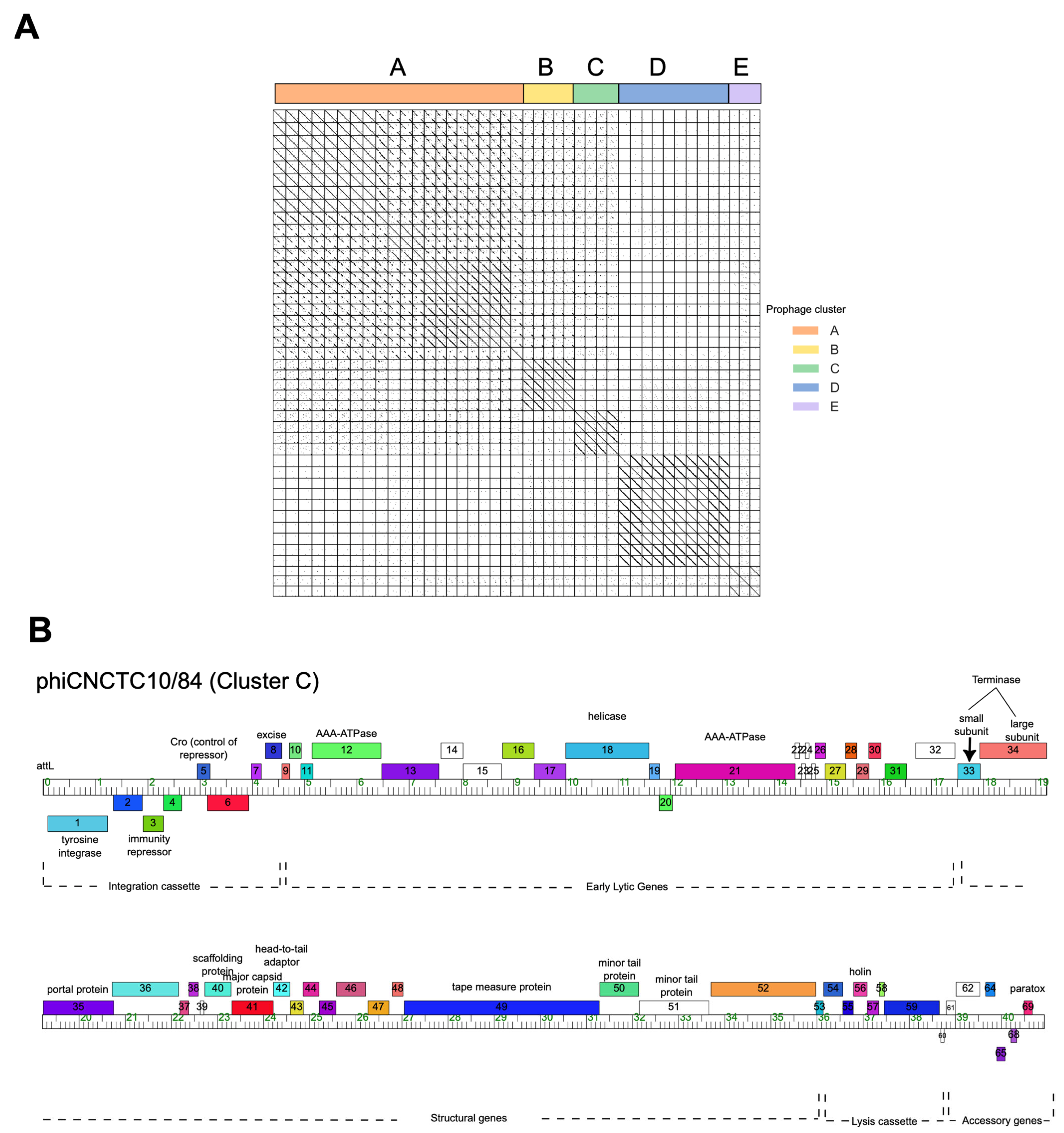 Pathogens 13 00610 g002