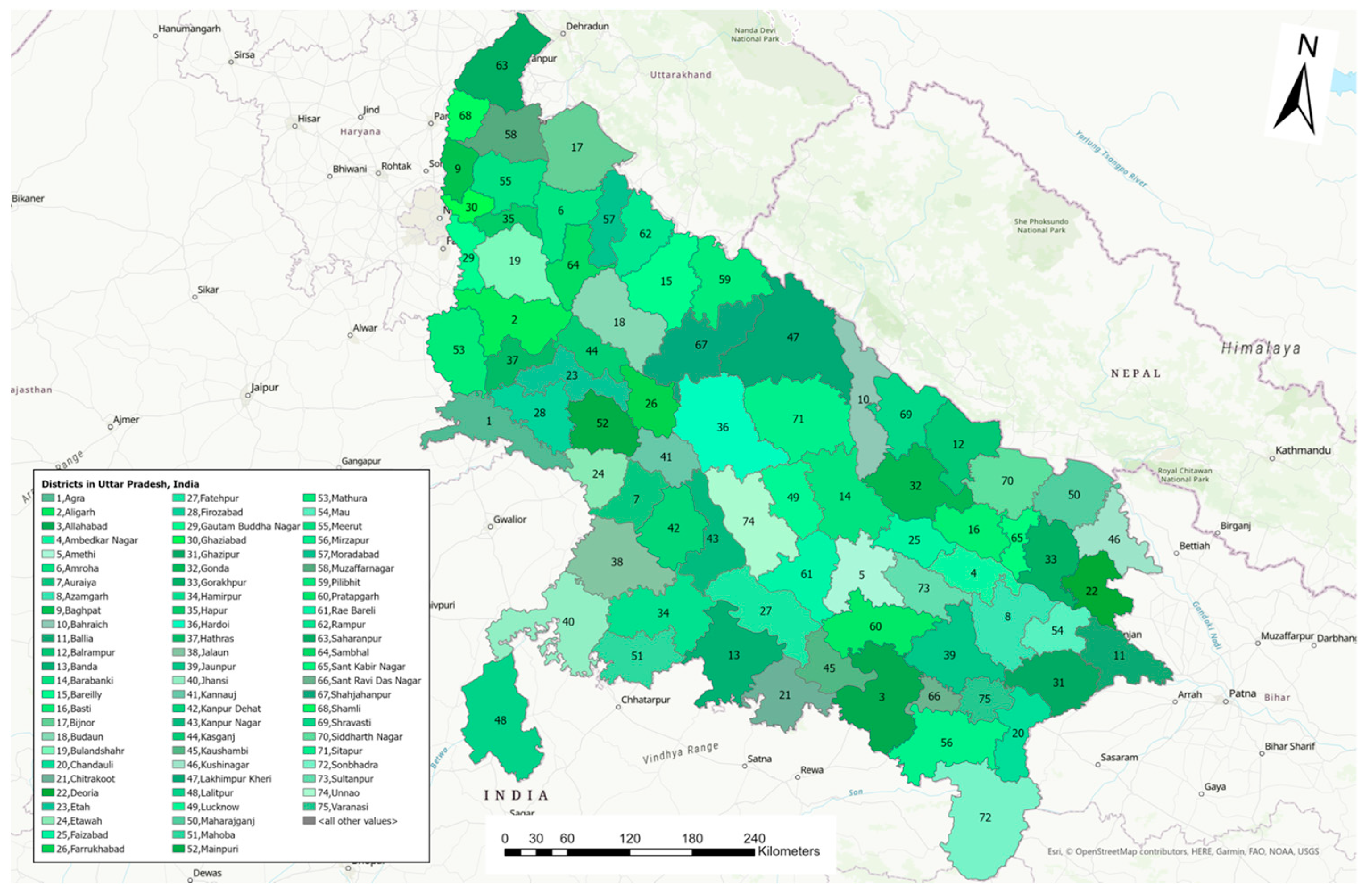 Pathogens 13 00611 g001 Pathogens 13 00611 g001