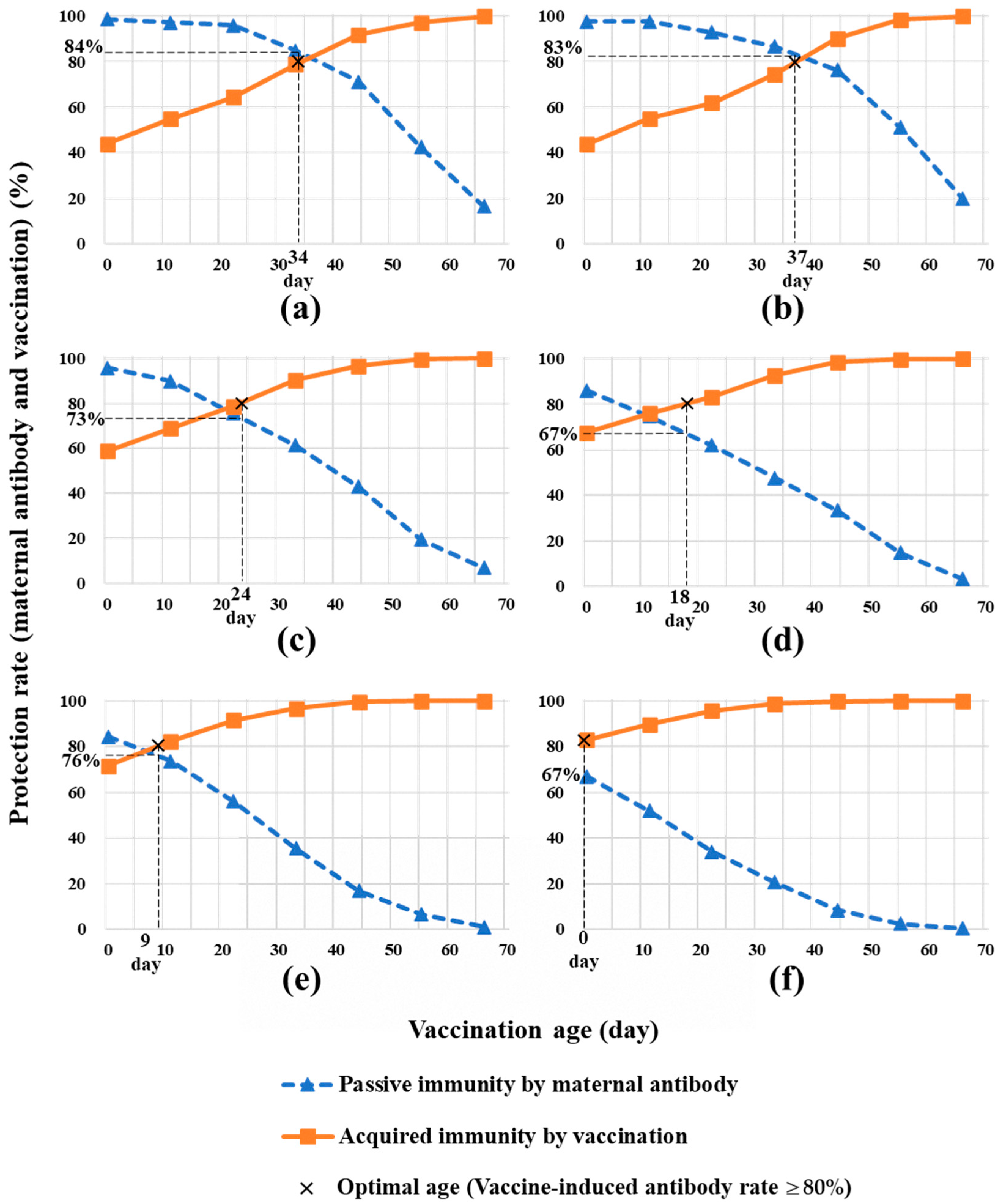 Pathogens 13 00616 g002