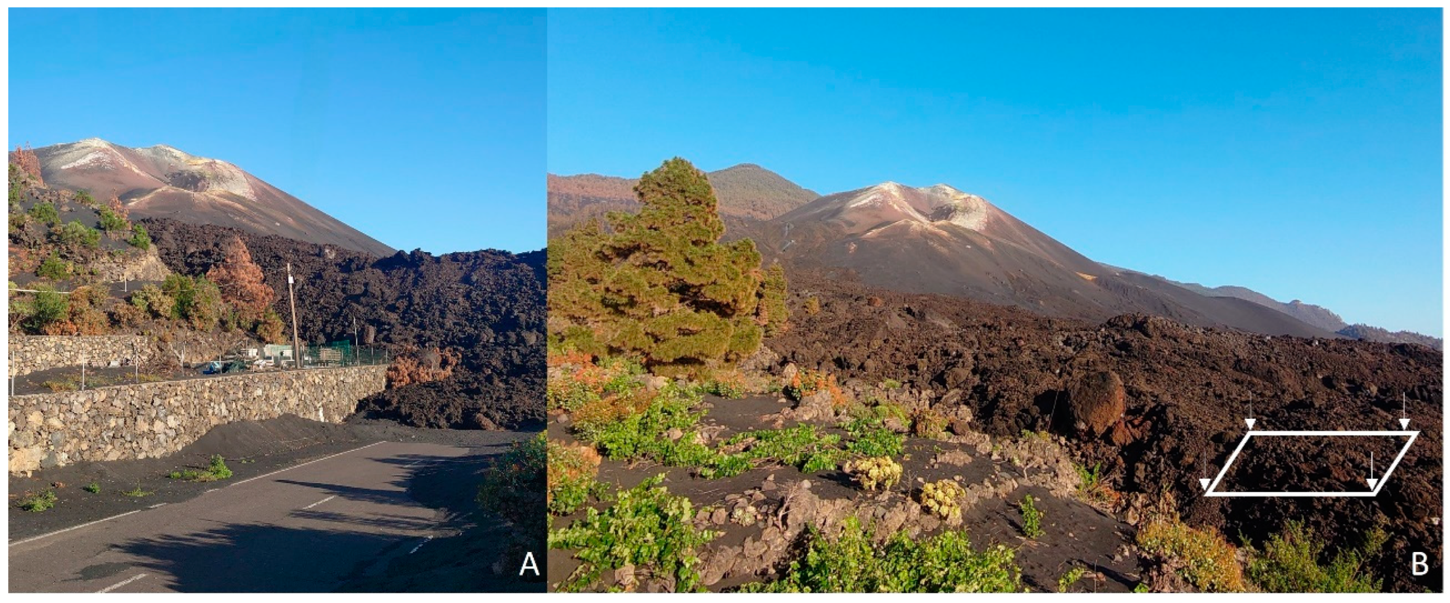 Pathogens 13 00626 g002