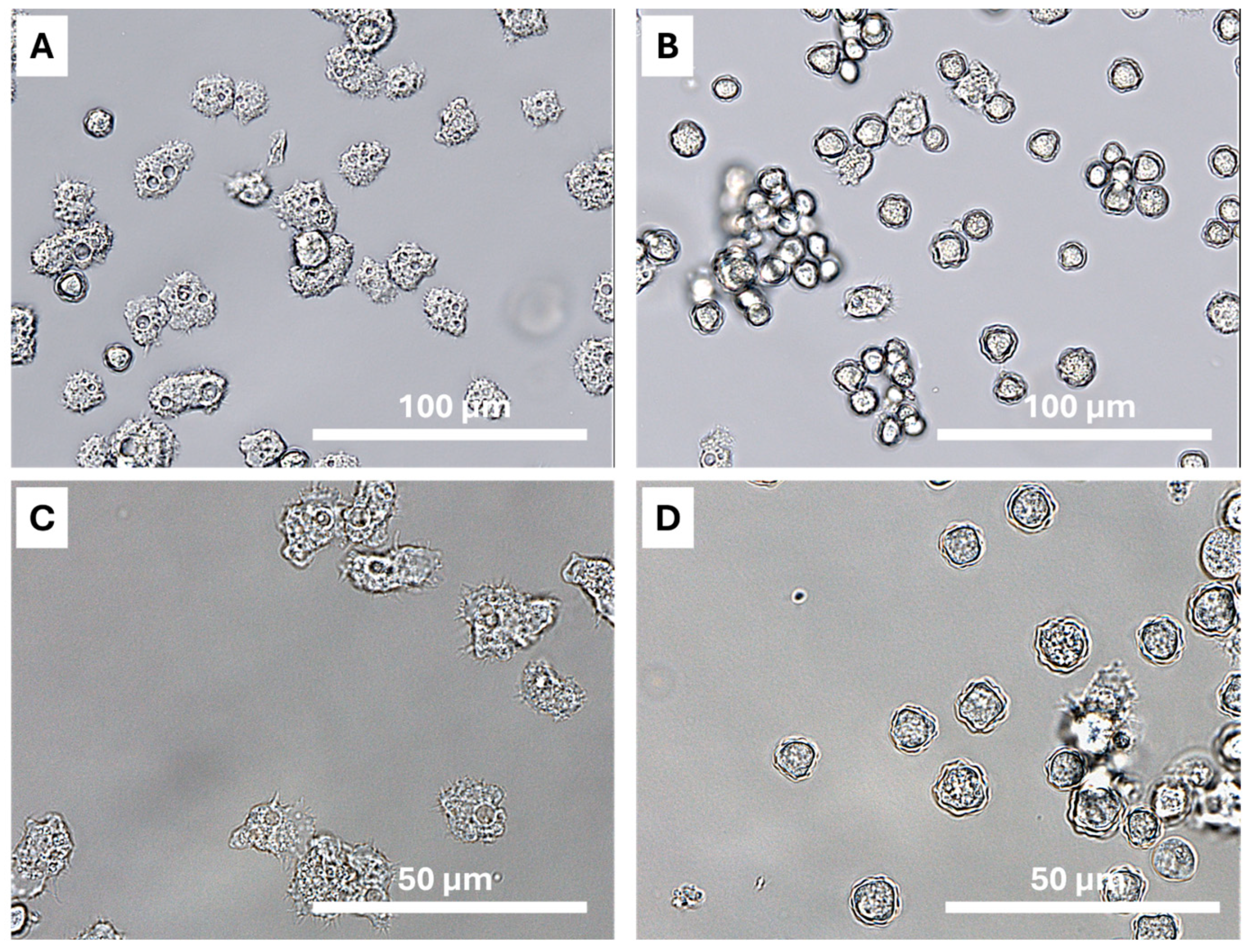 Pathogens 13 00626 g005