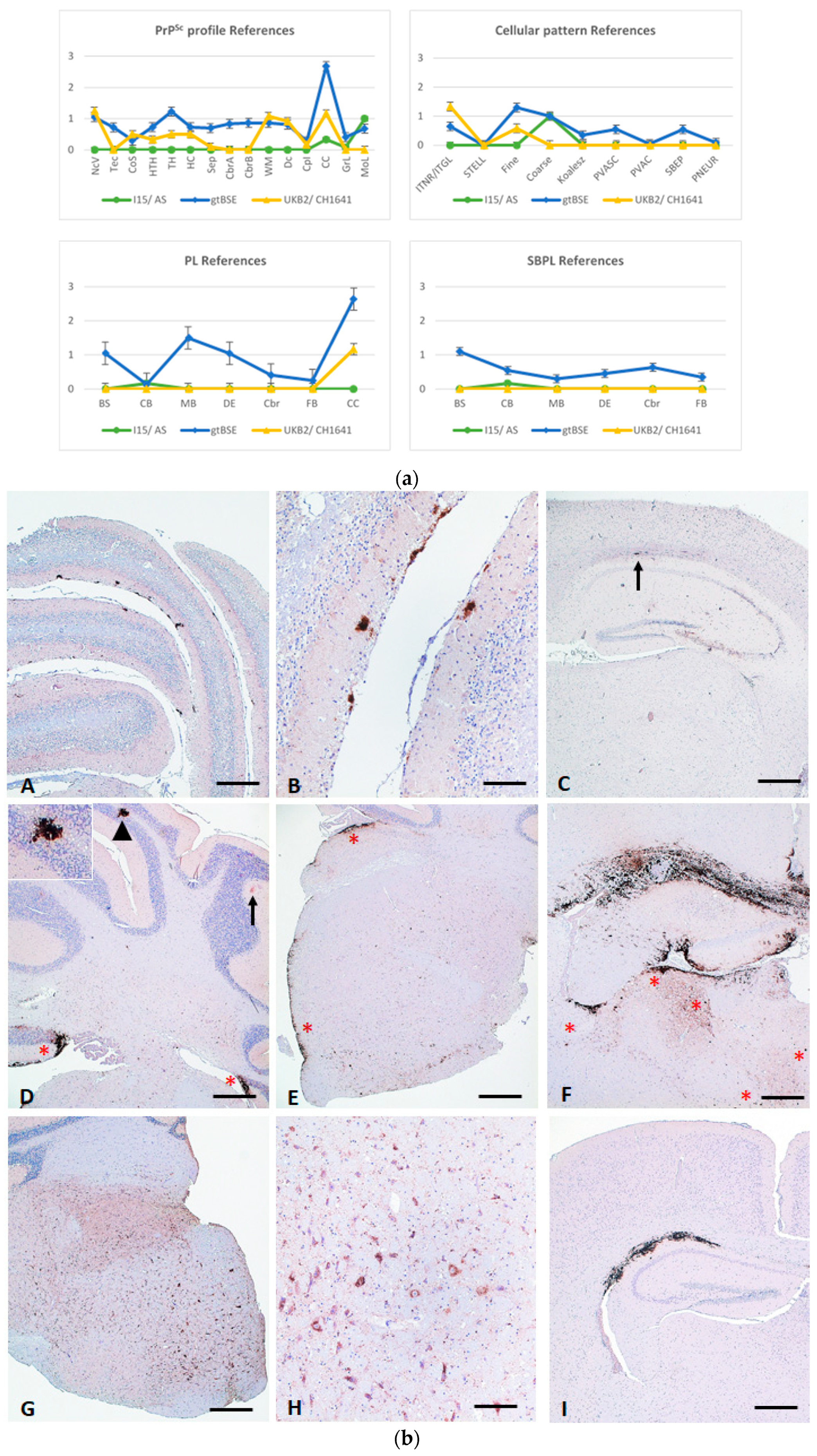 Pathogens 13 00629 g001 Pathogens 13 00629 g001