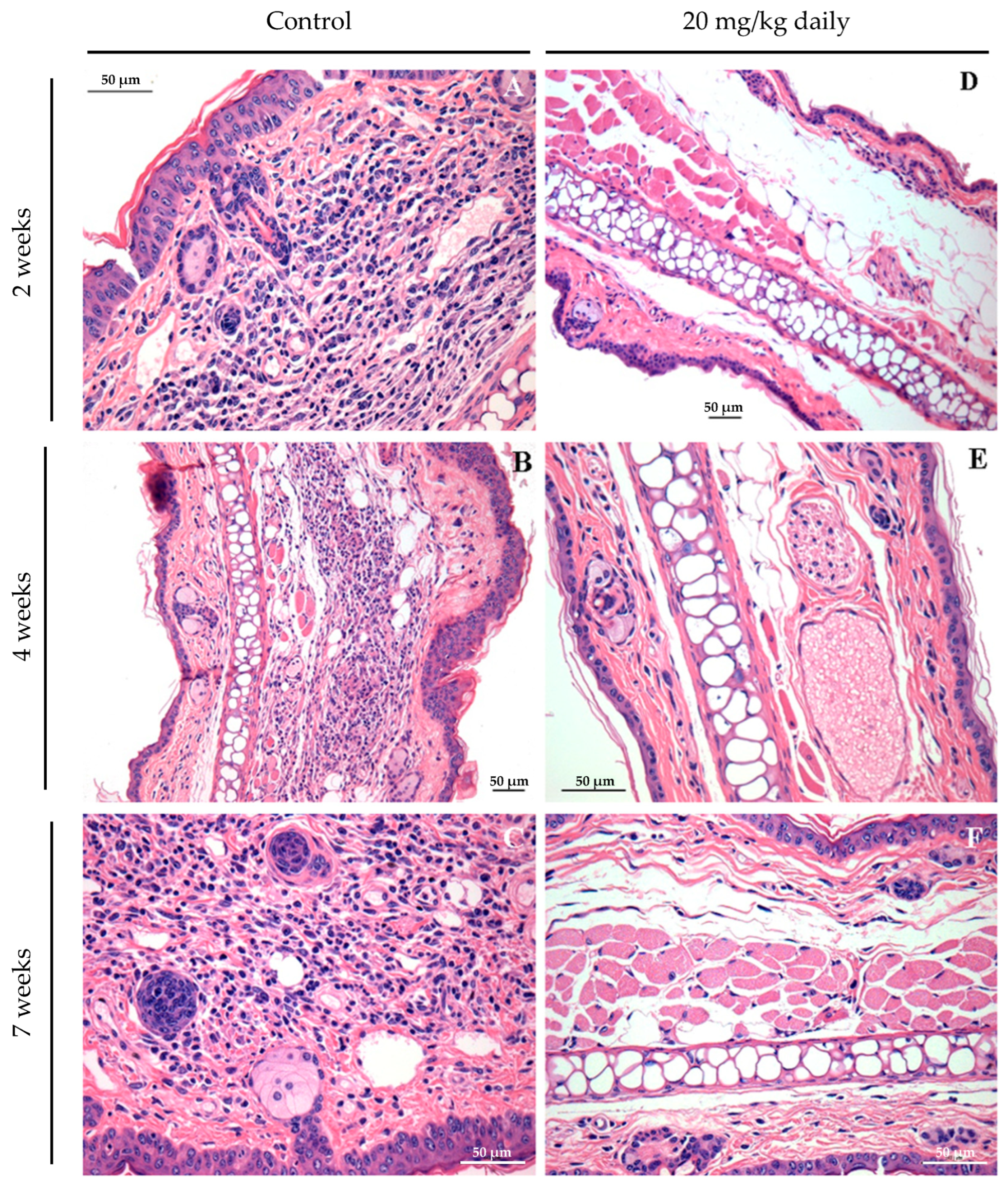Pathogens 13 00630 g008
