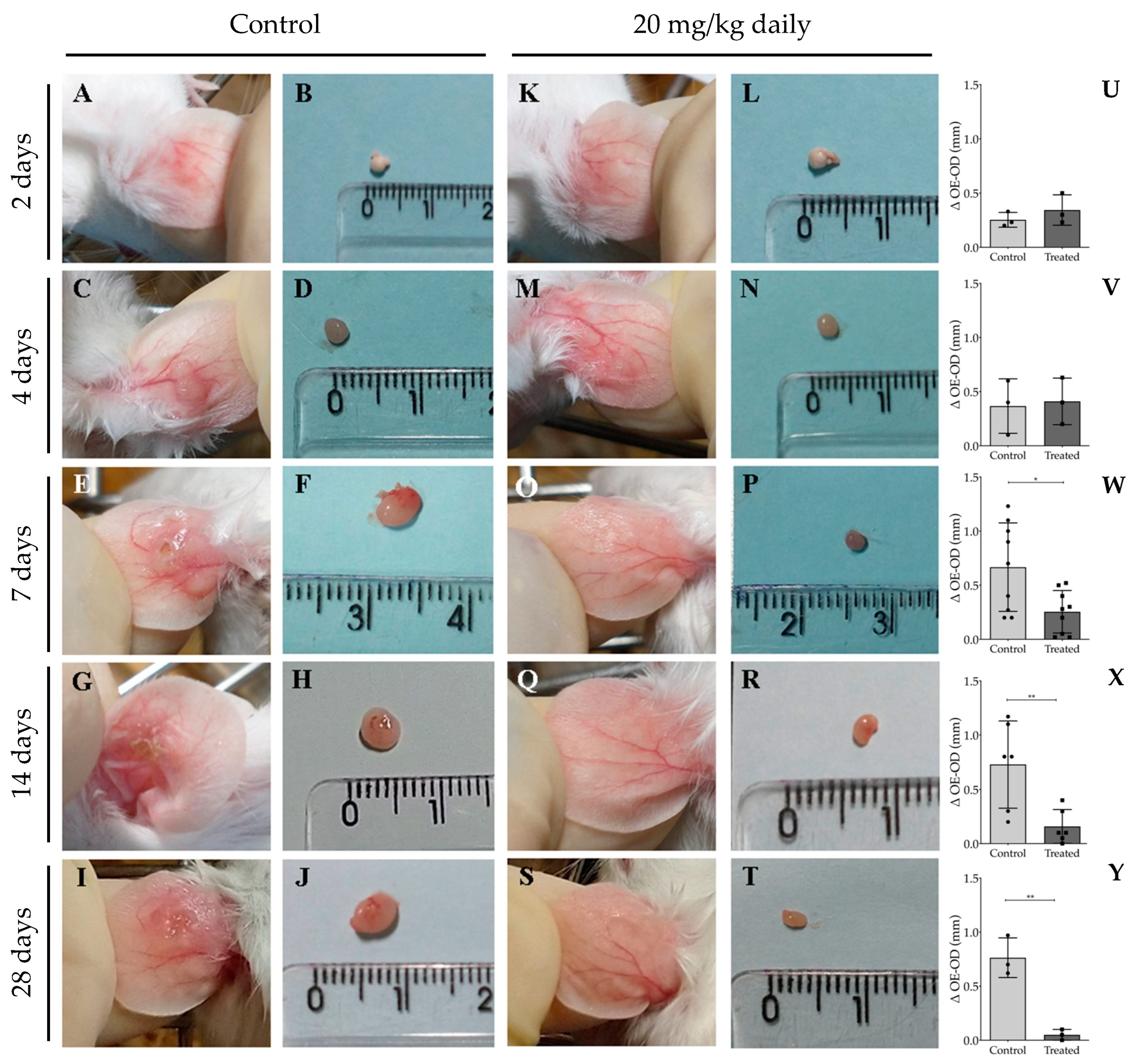 Pathogens 13 00630 g009