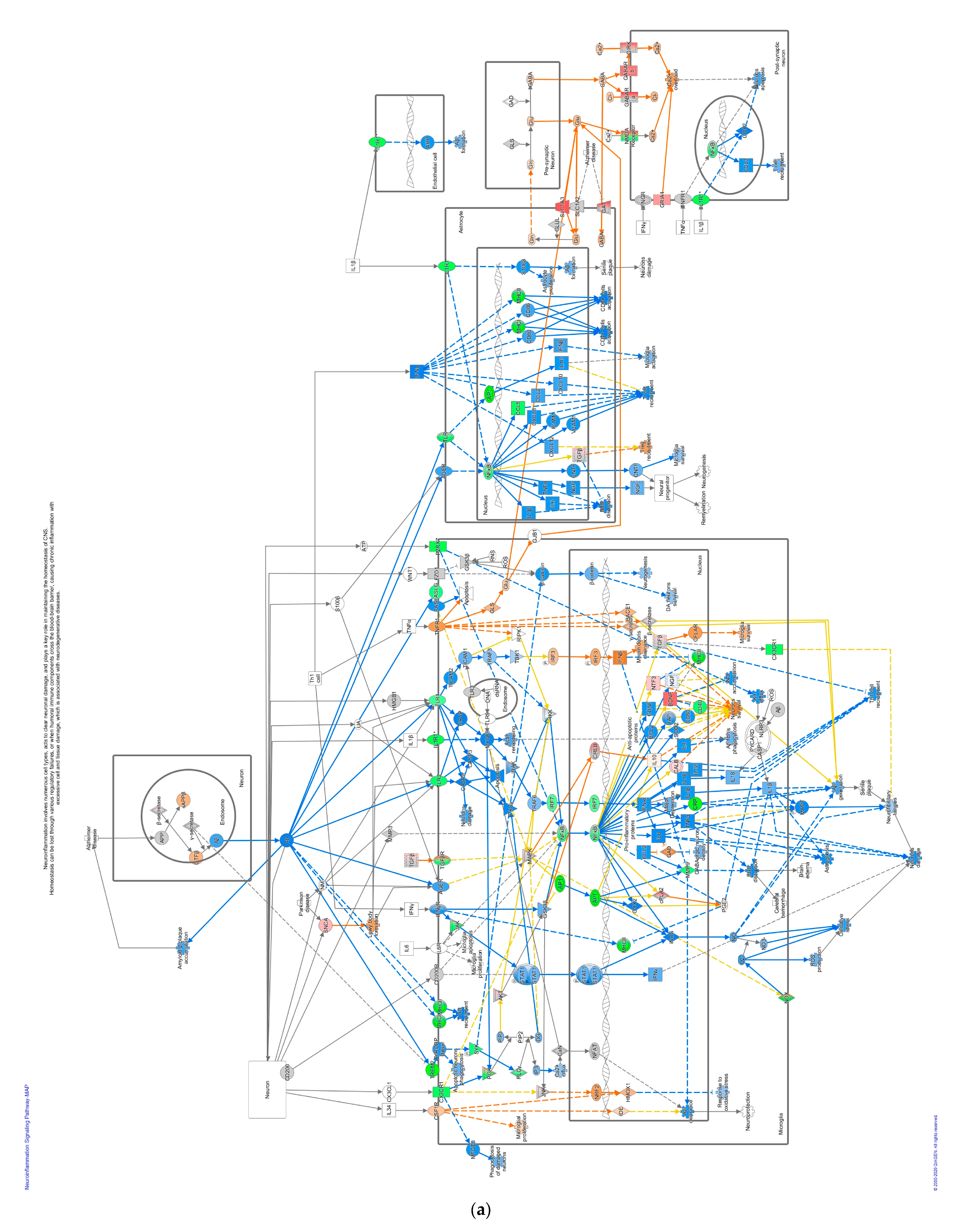 Pathogens 13 00638 g004a