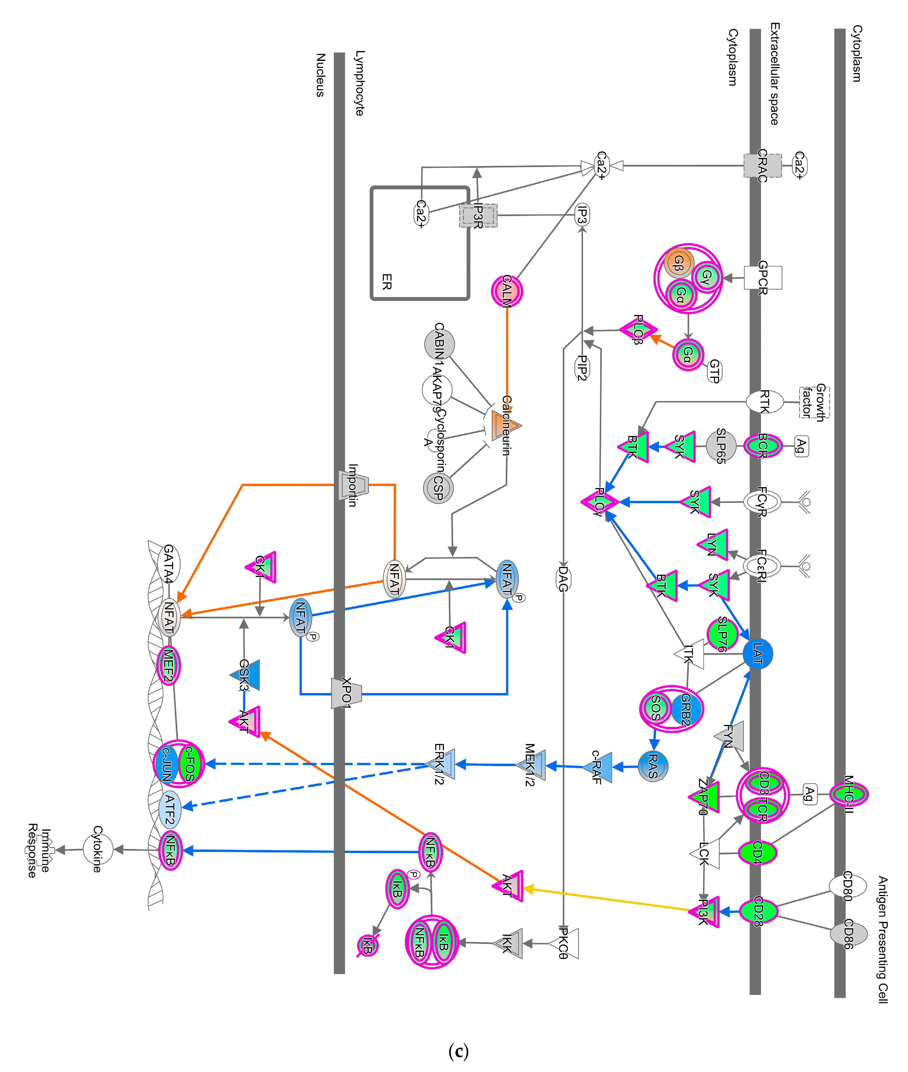 Pathogens 13 00638 g004c