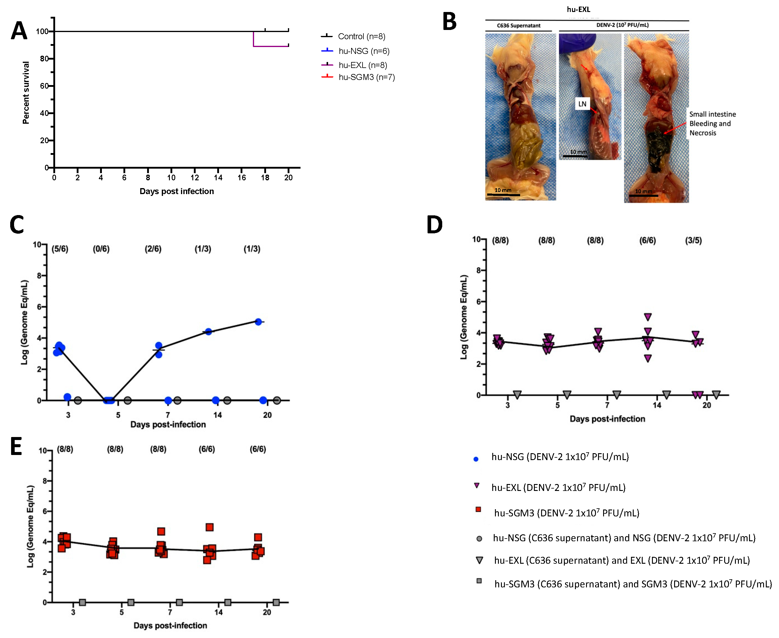 Pathogens 13 00639 g001 Pathogens 13 00639 g001
