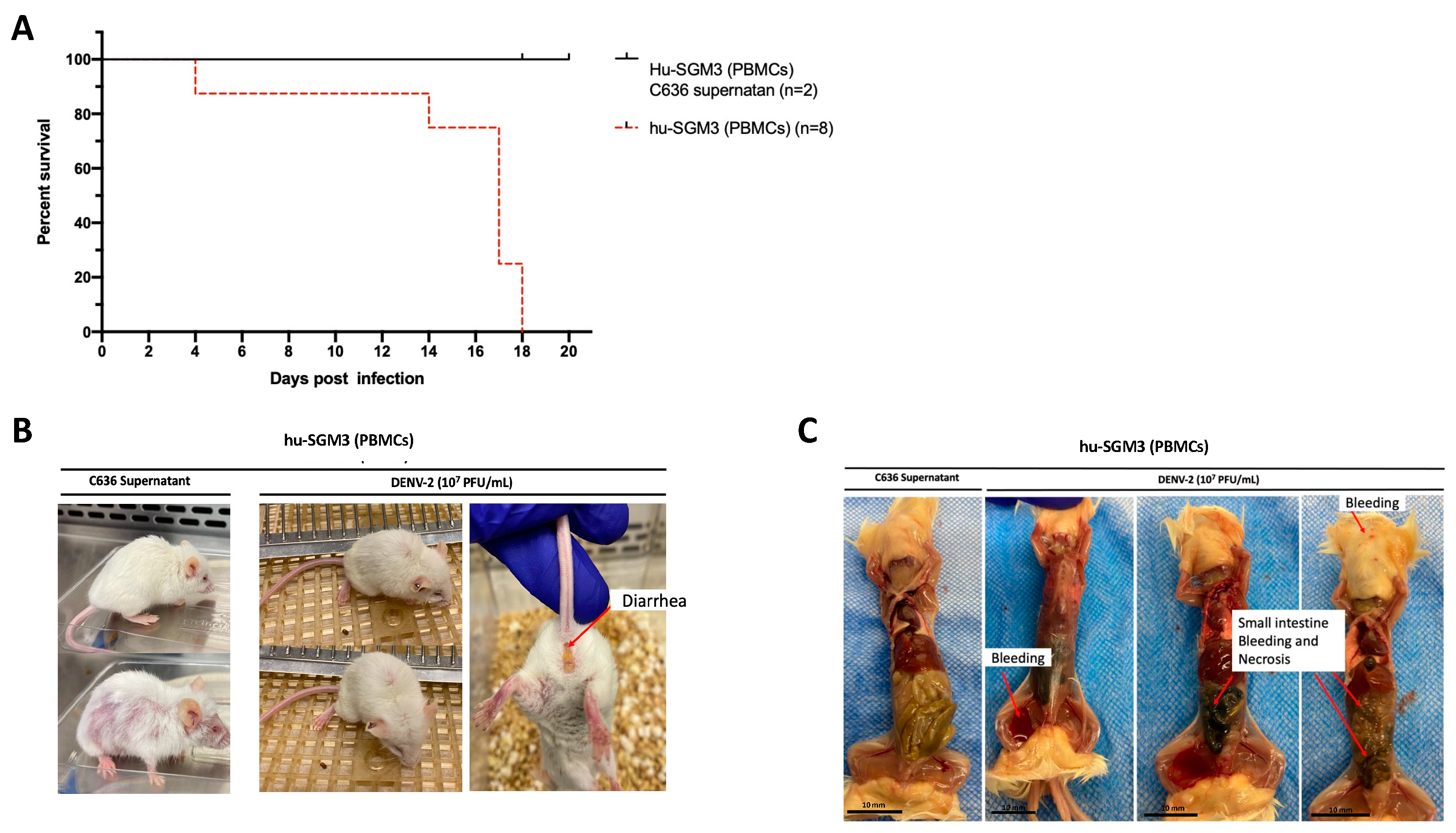 Pathogens 13 00639 g003 Pathogens 13 00639 g003
