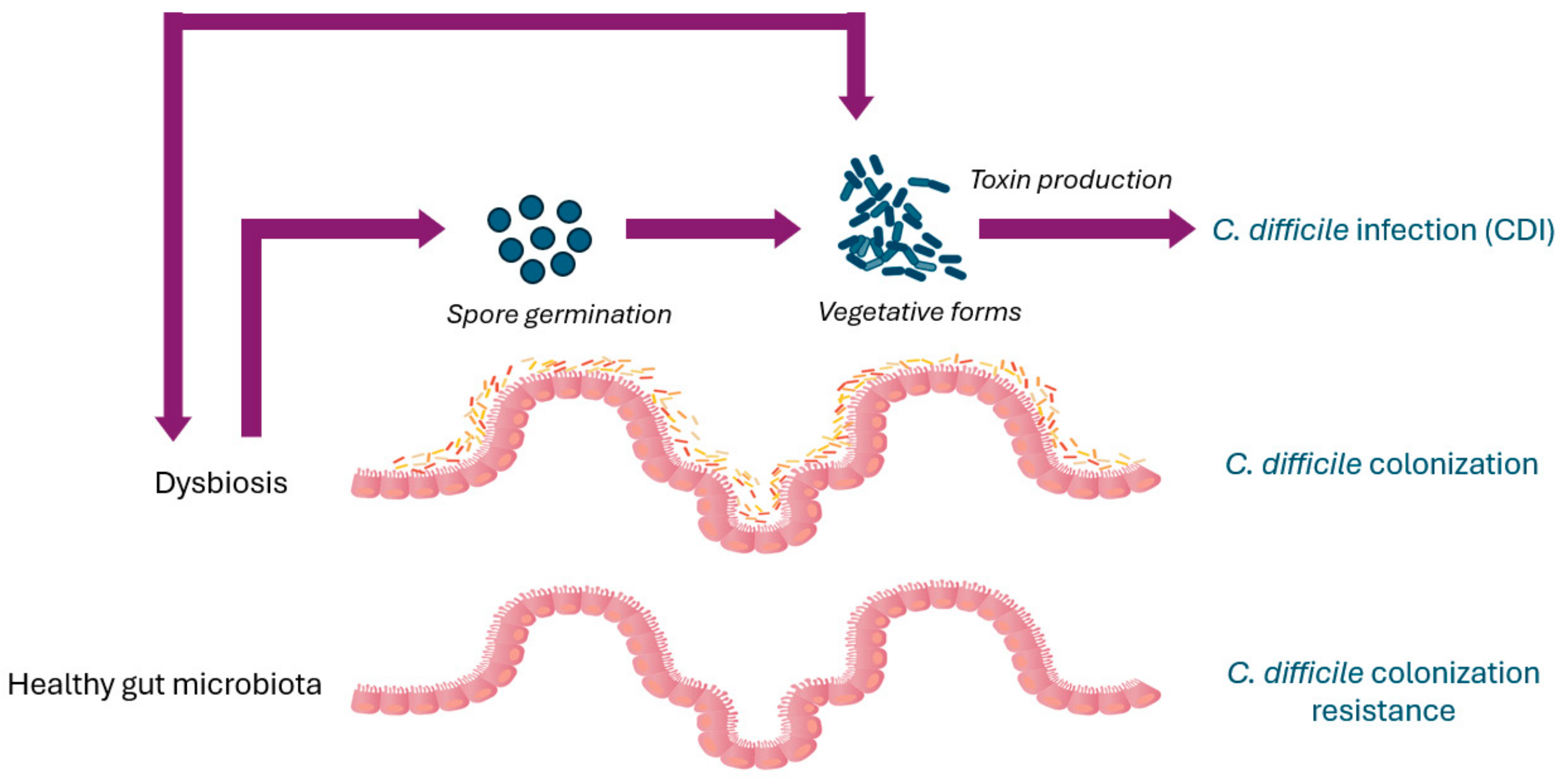 Pathogens 13 00646 g001
