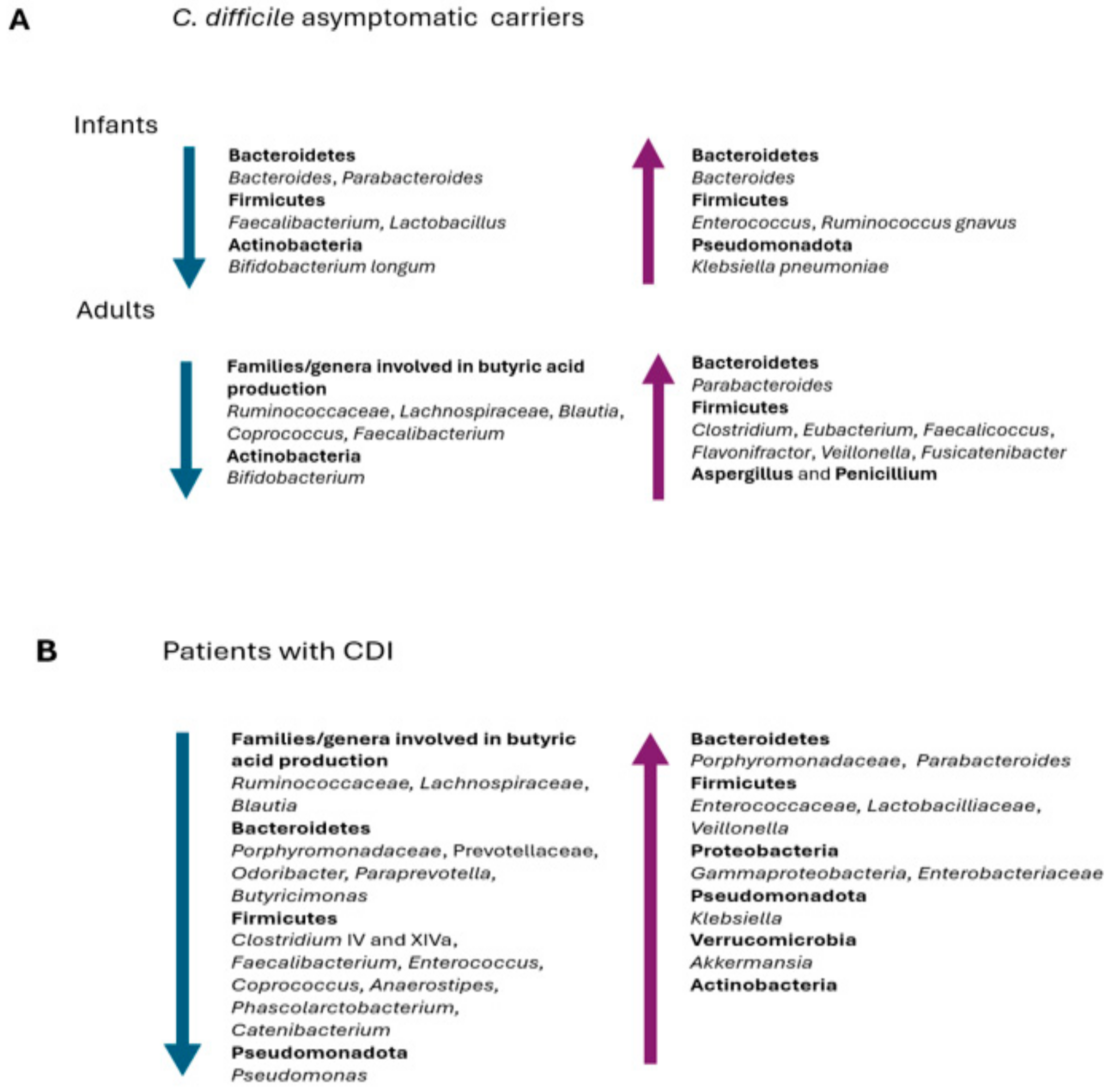 Pathogens 13 00646 g002