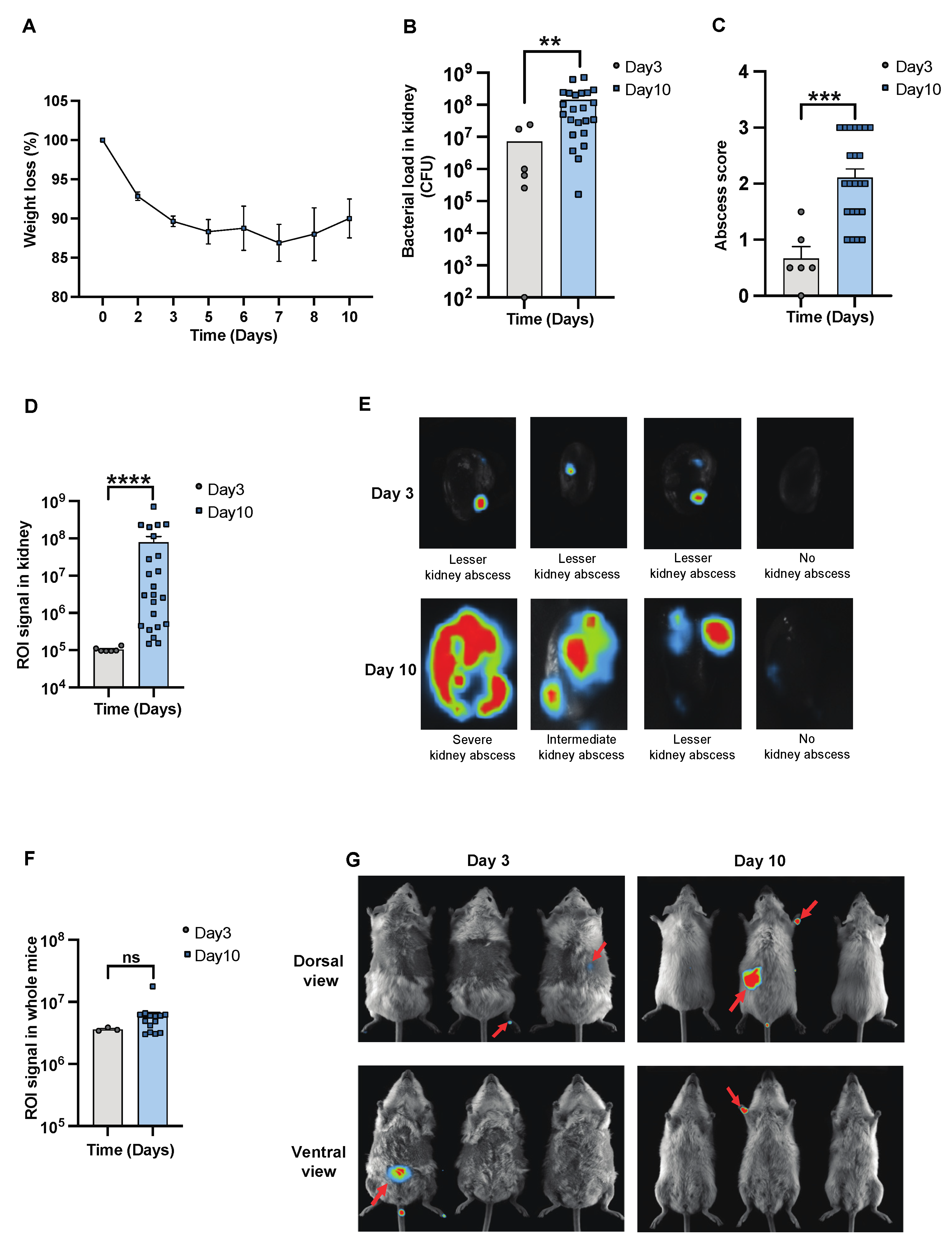 Pathogens 13 00652 g001