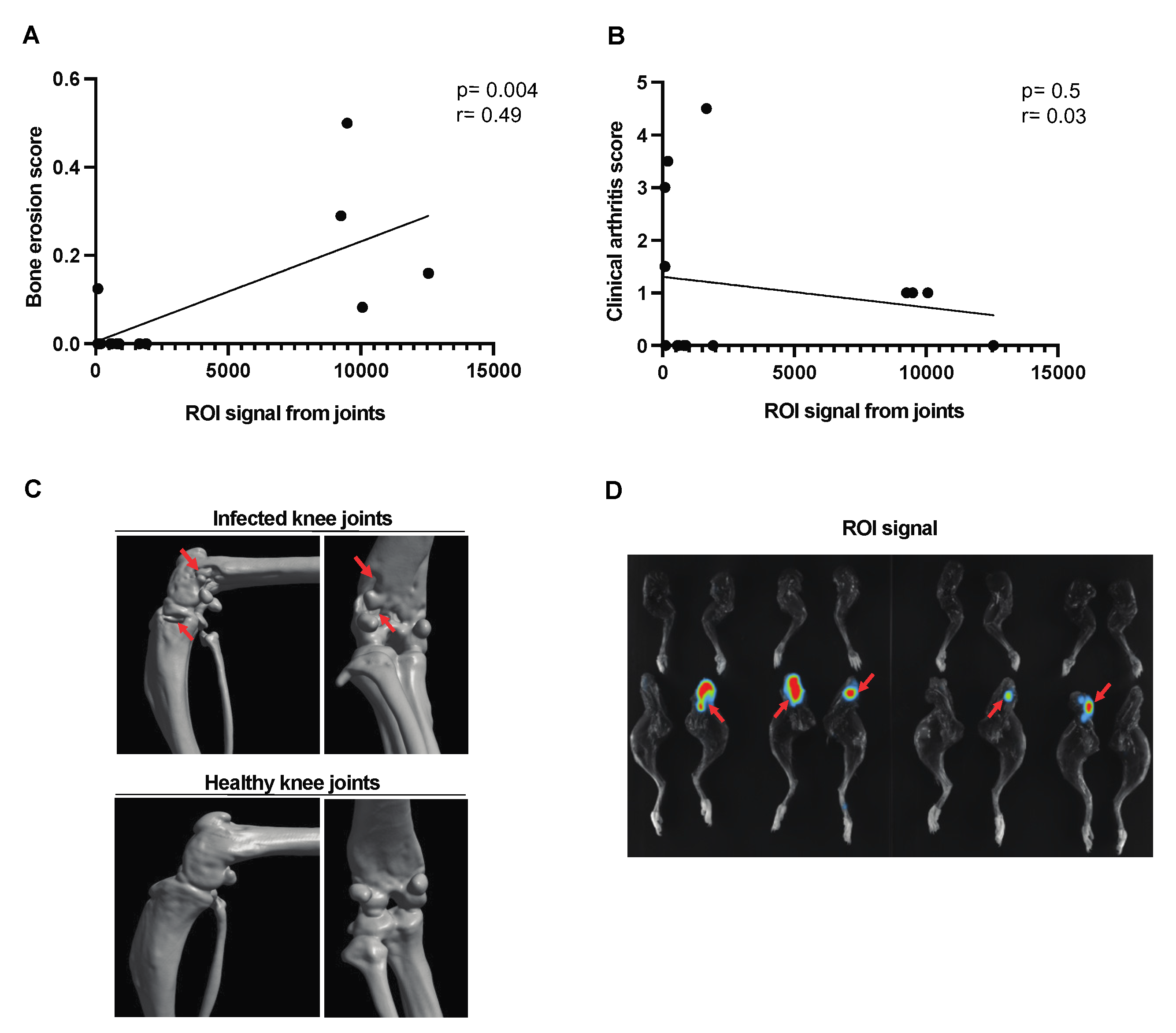 Pathogens 13 00652 g004