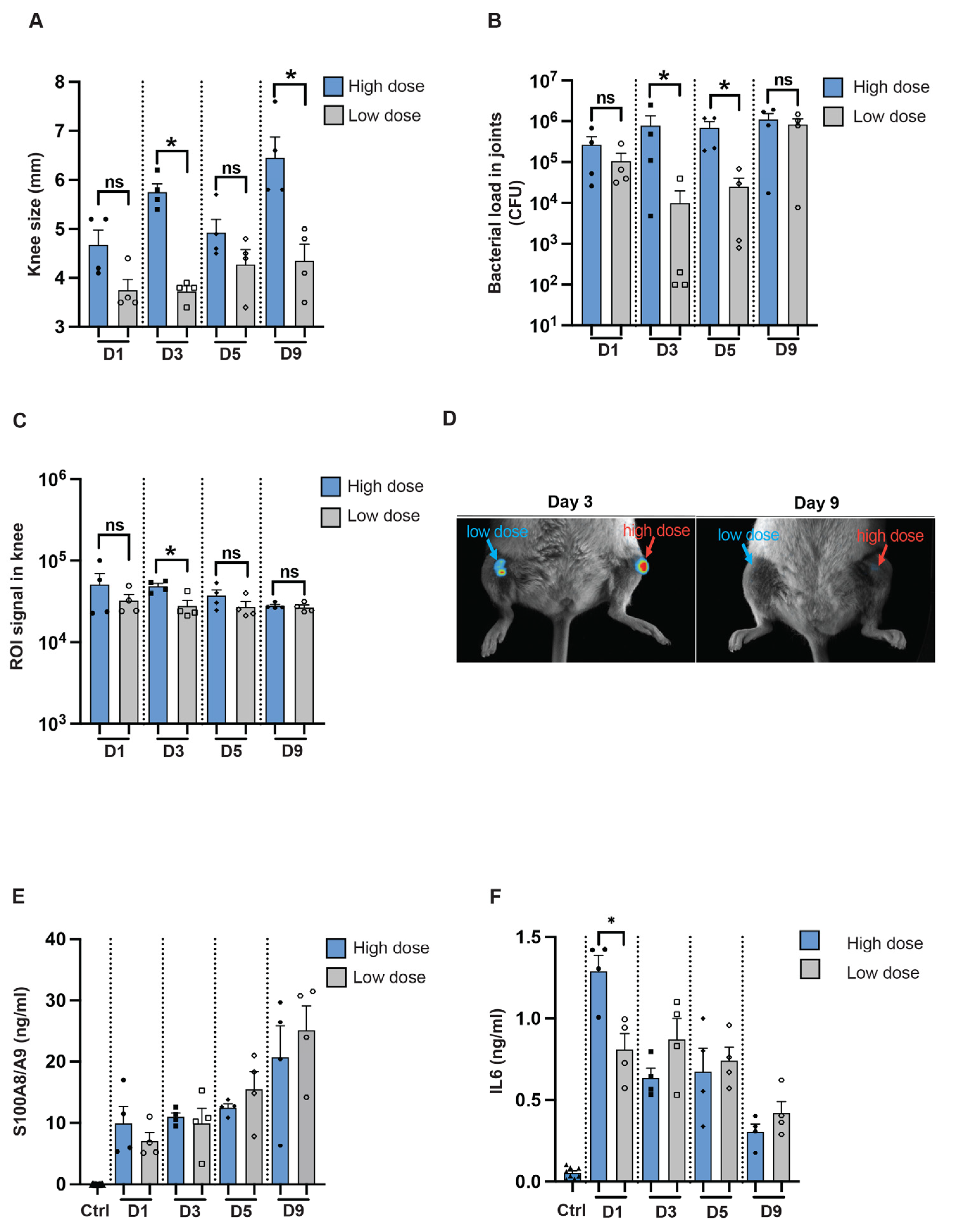 Pathogens 13 00652 g005