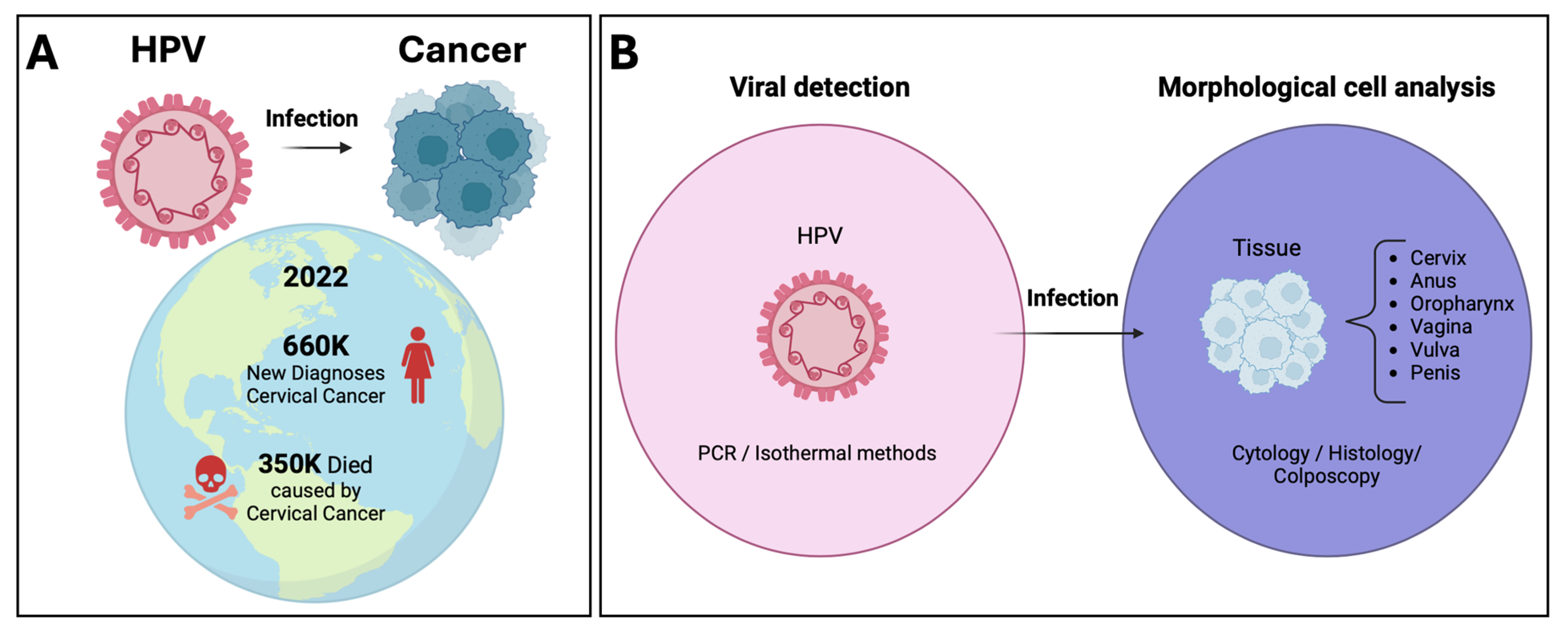 Pathogens 13 00653 g001 Pathogens 13 00653 g001