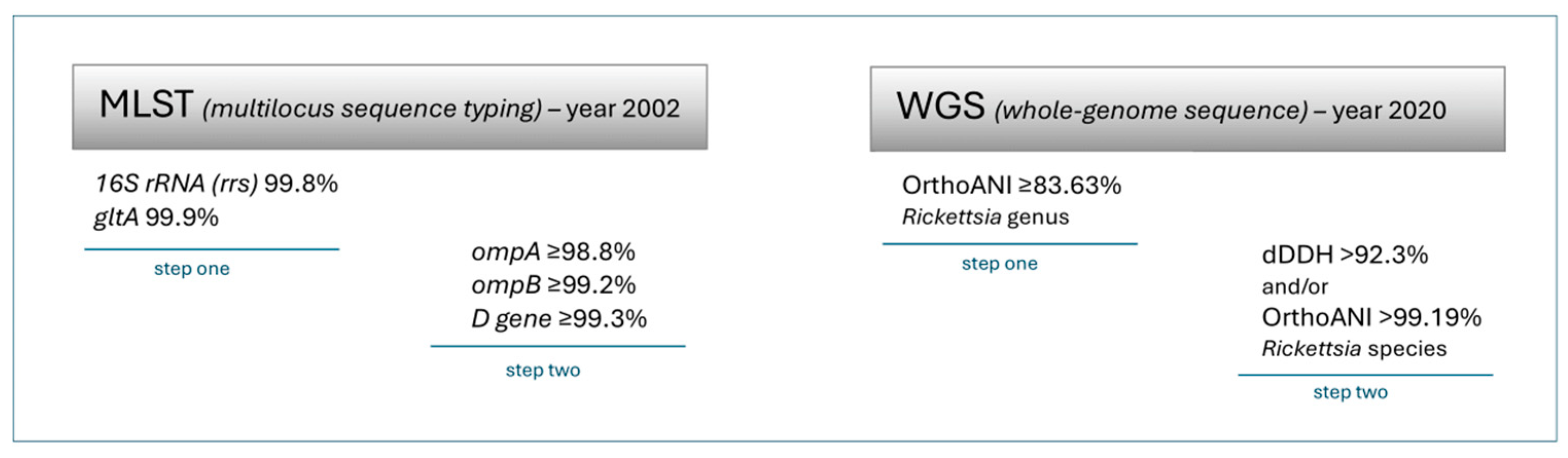 Pathogens 13 00661 g001 Pathogens 13 00661 g001