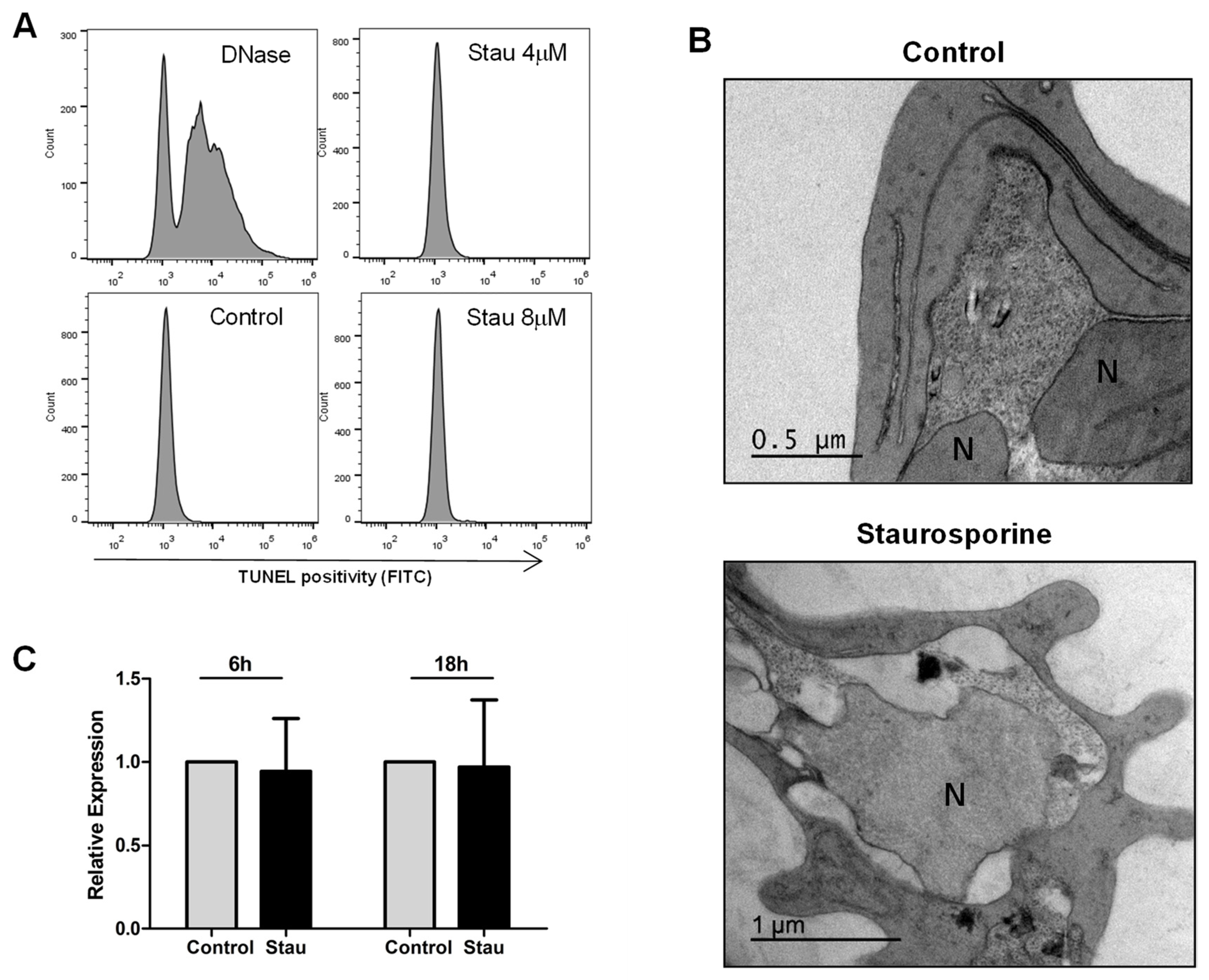 Pathogens 13 00673 g002