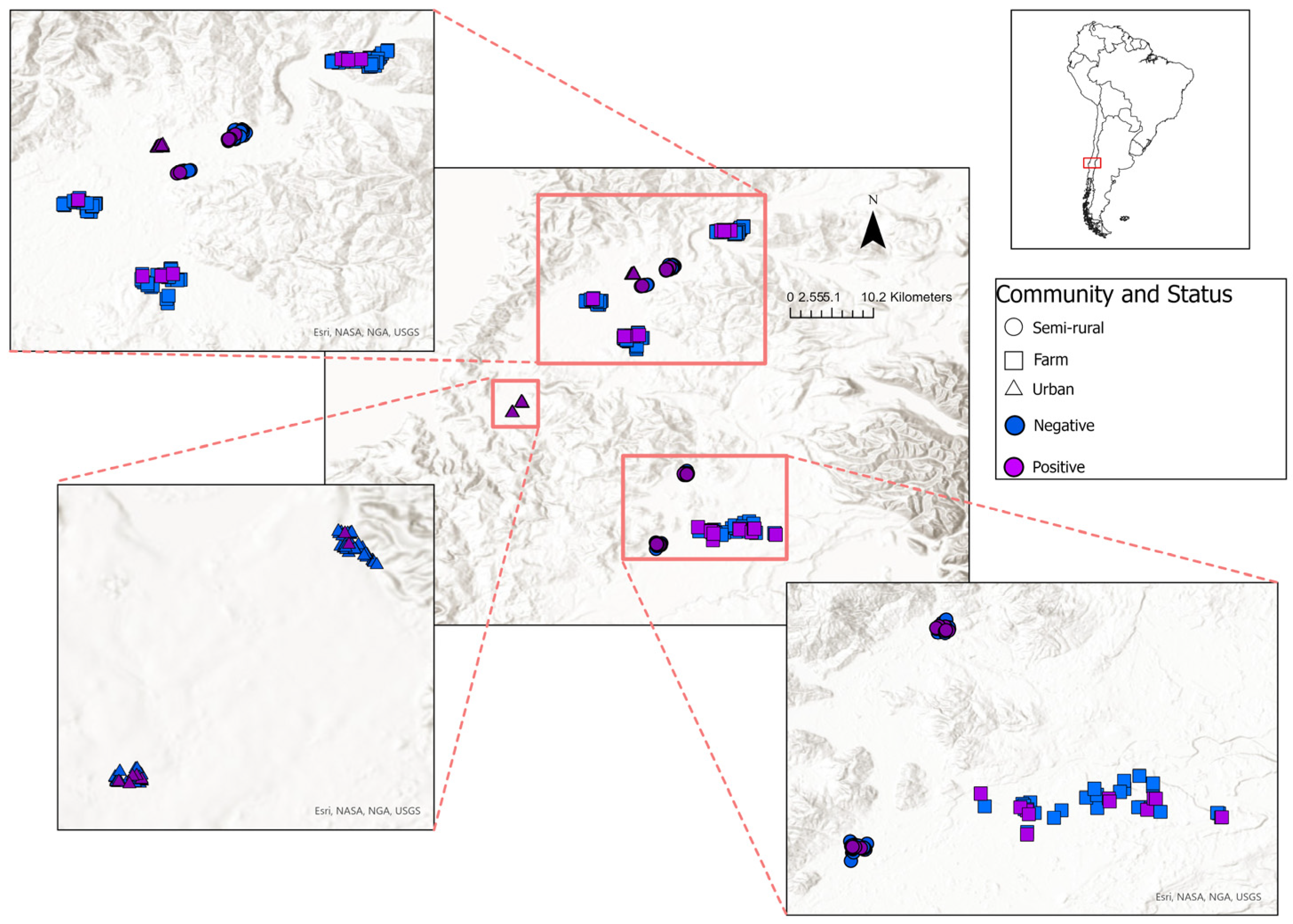 Pathogens 13 00687 g001 Pathogens 13 00687 g001