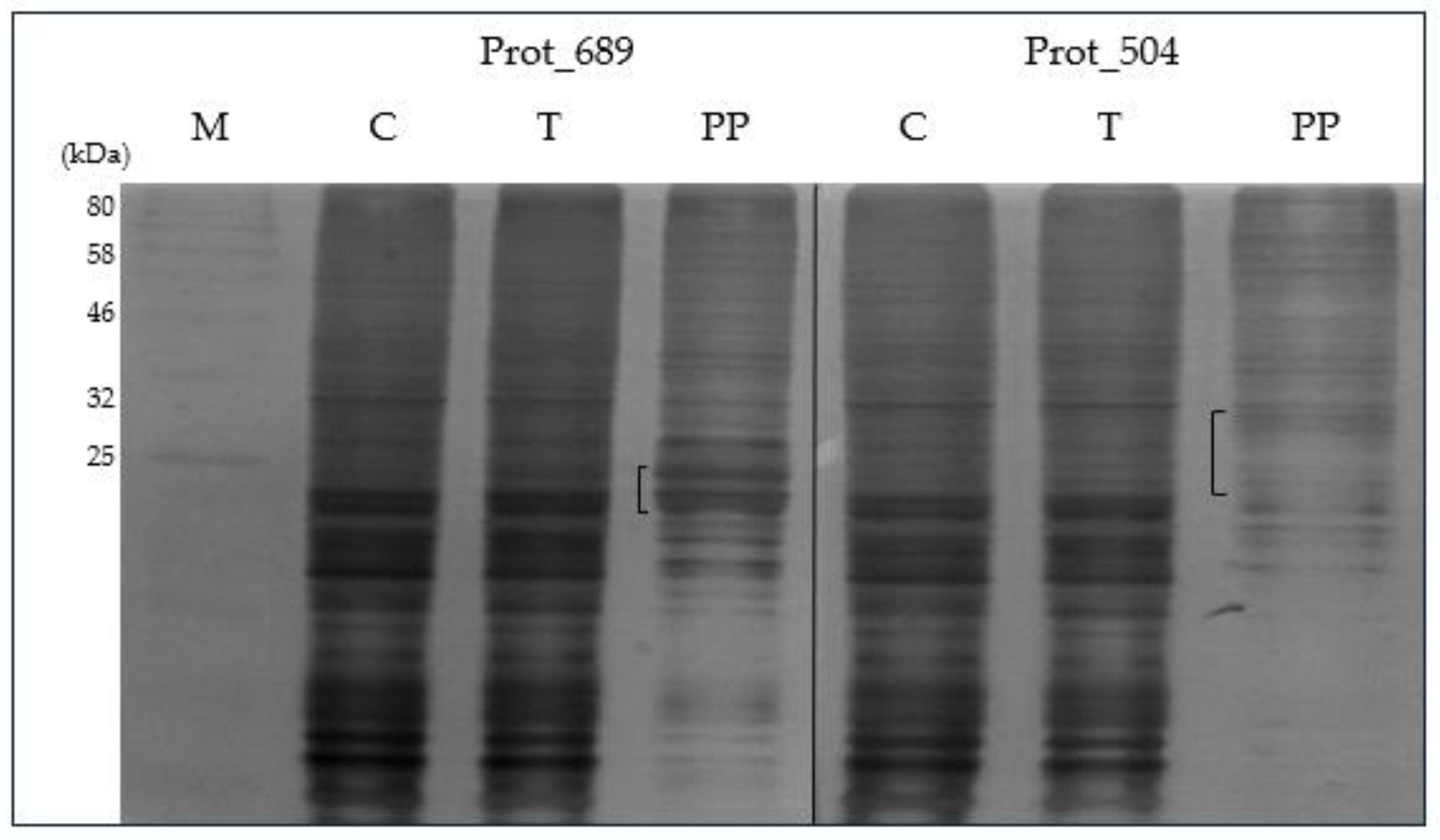 Pathogens 13 00690 g006