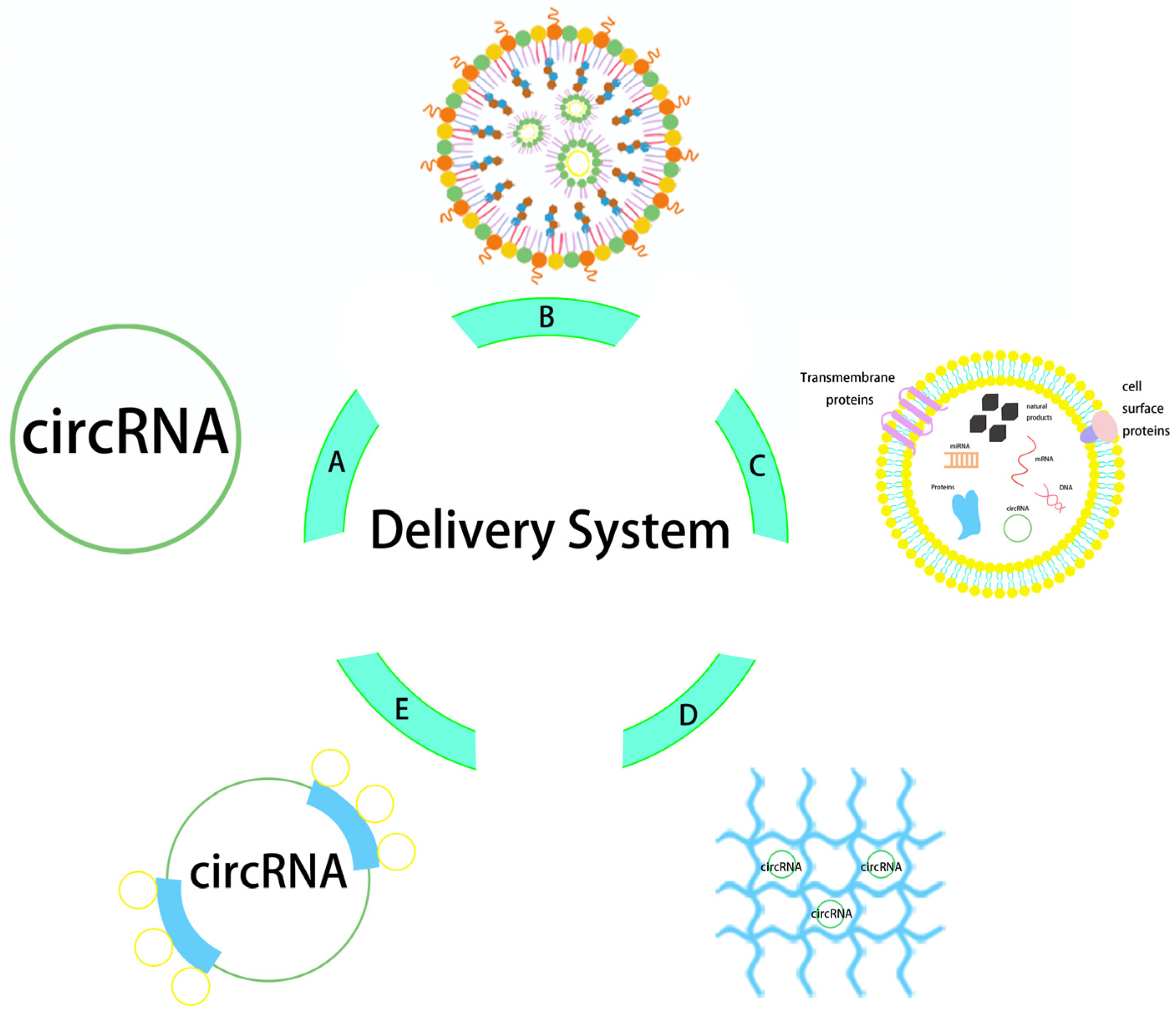 Pathogens 13 00692 g002