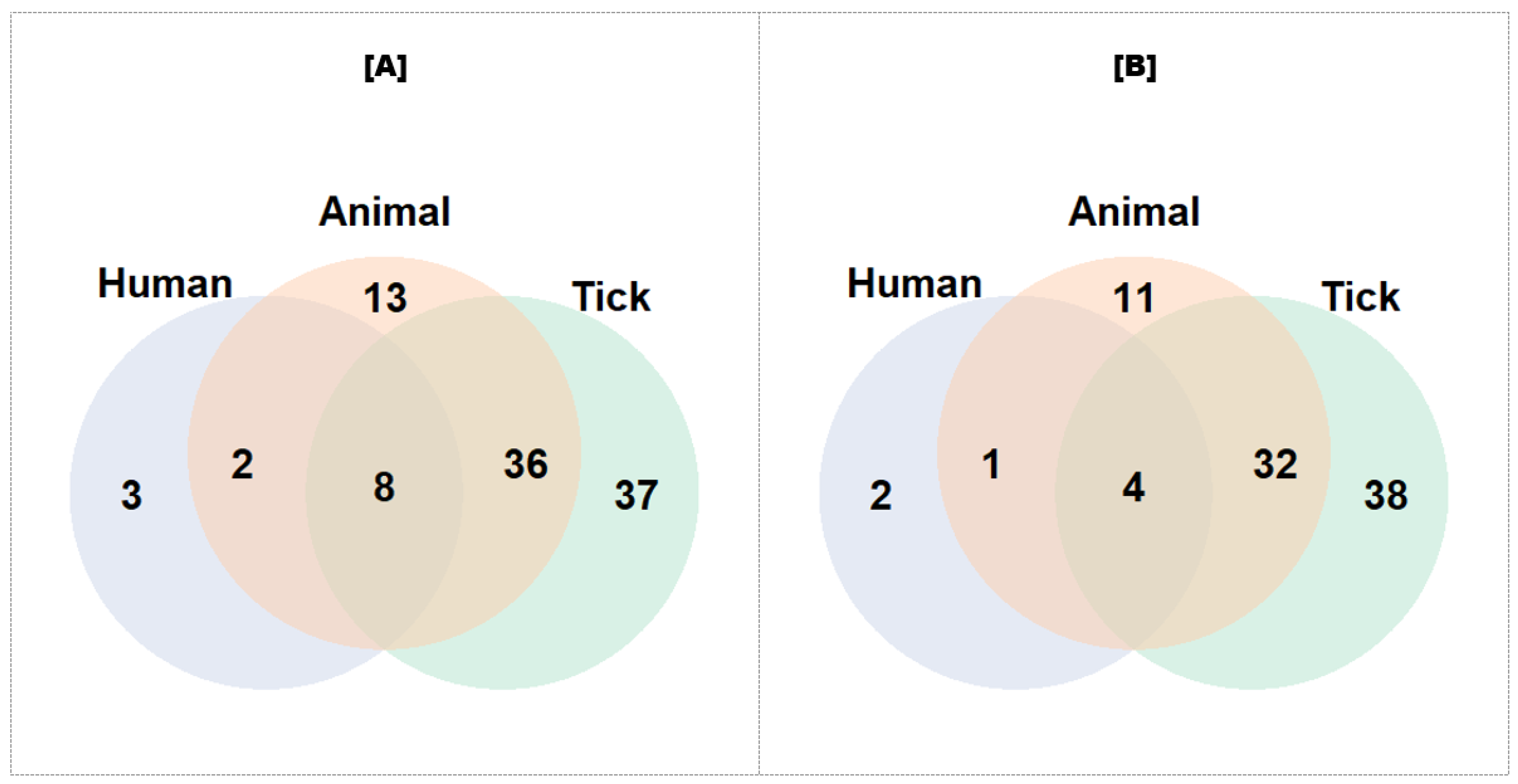 Pathogens 13 00697 g005