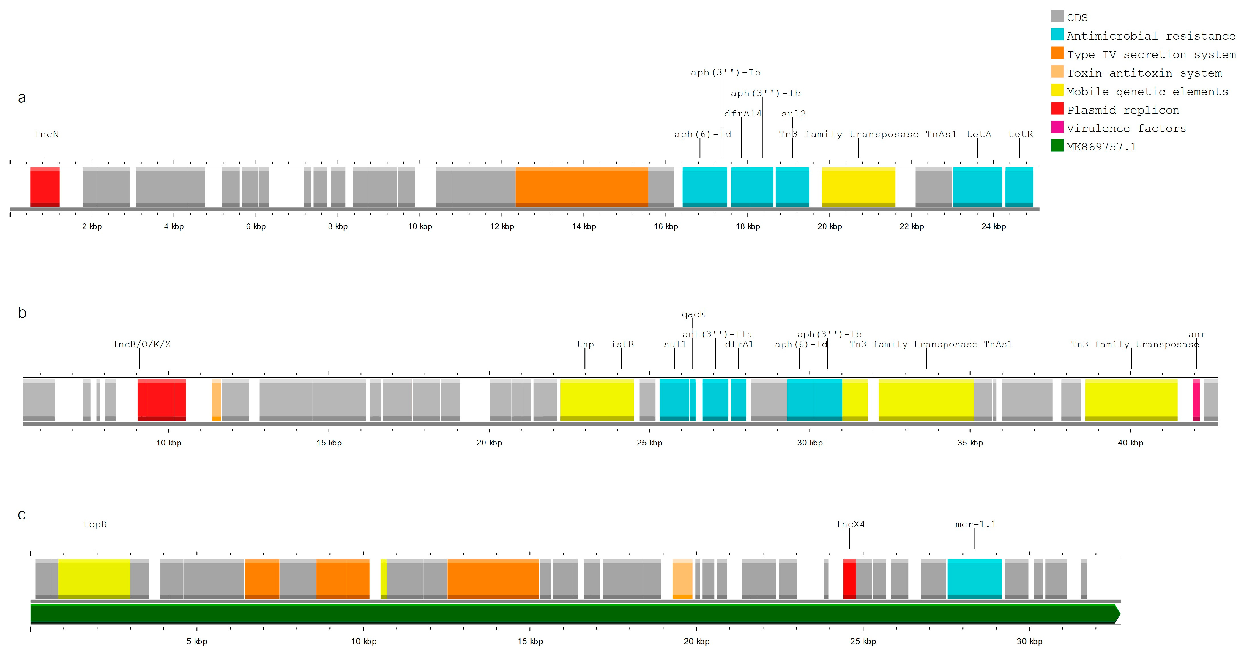 Pathogens 13 00700 g005