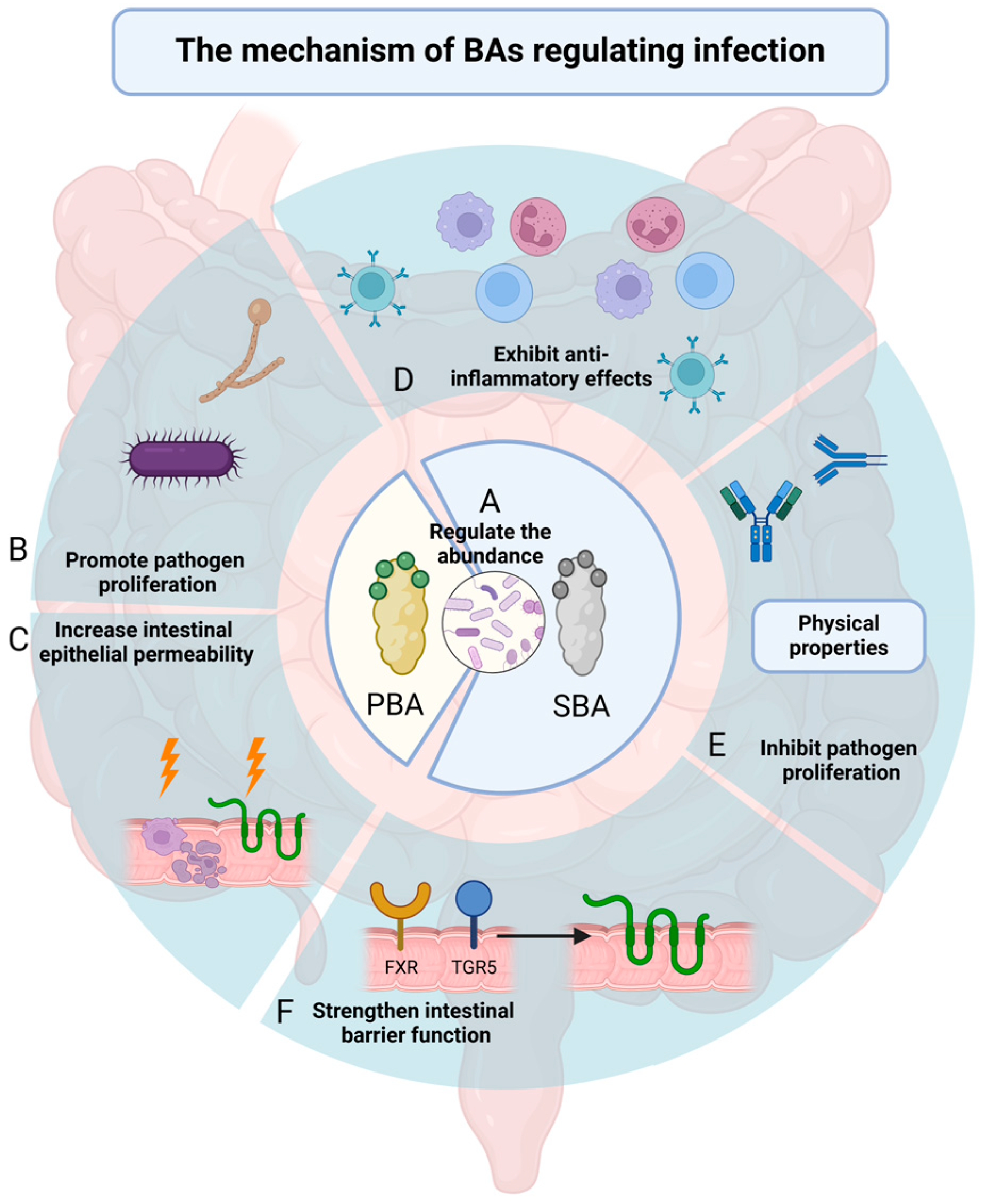 Pathogens 13 00702 g001