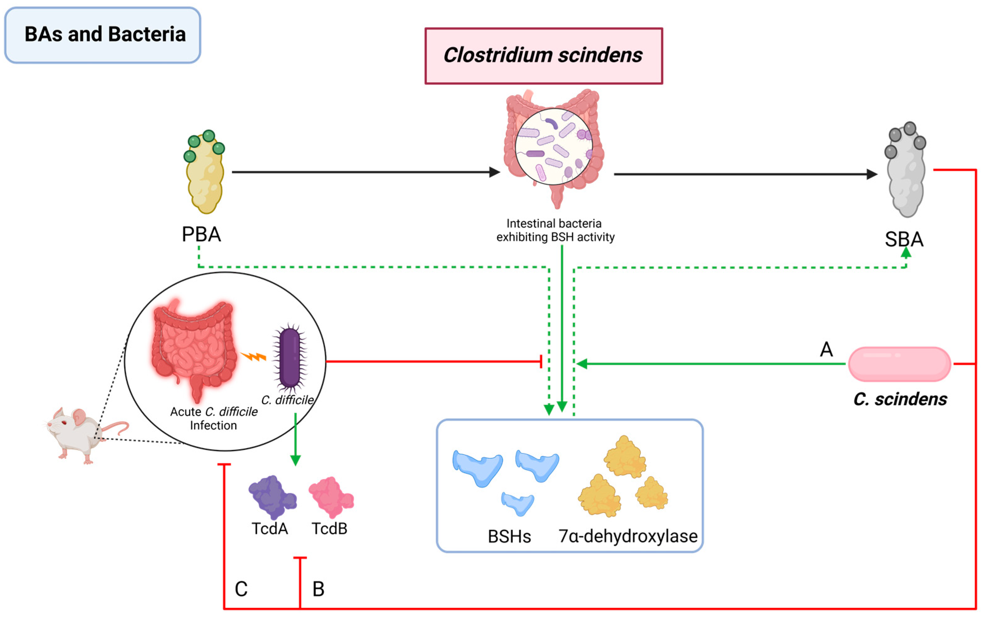 Pathogens 13 00702 g006